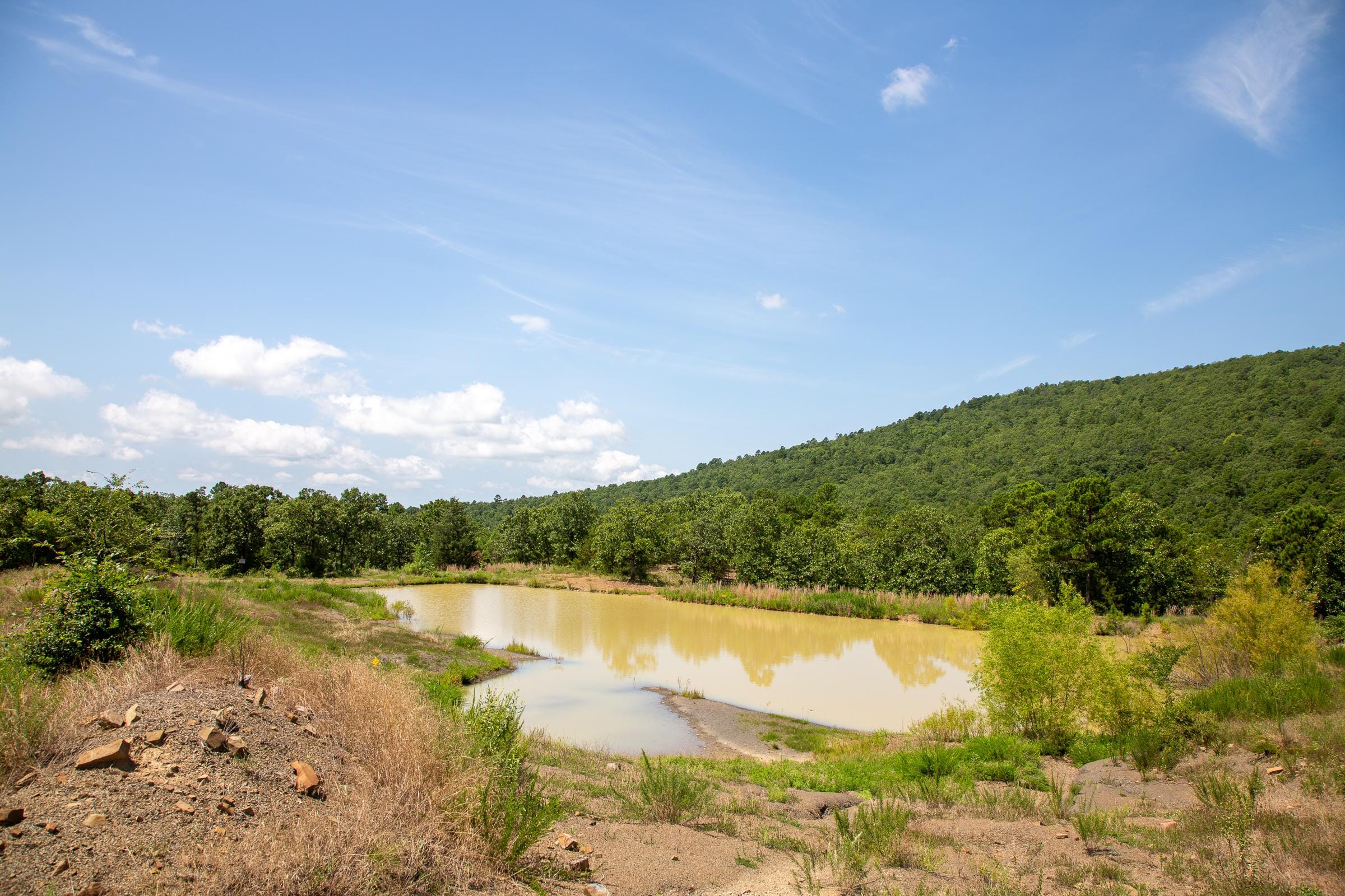 Tyler Stone Ranch photo 14
