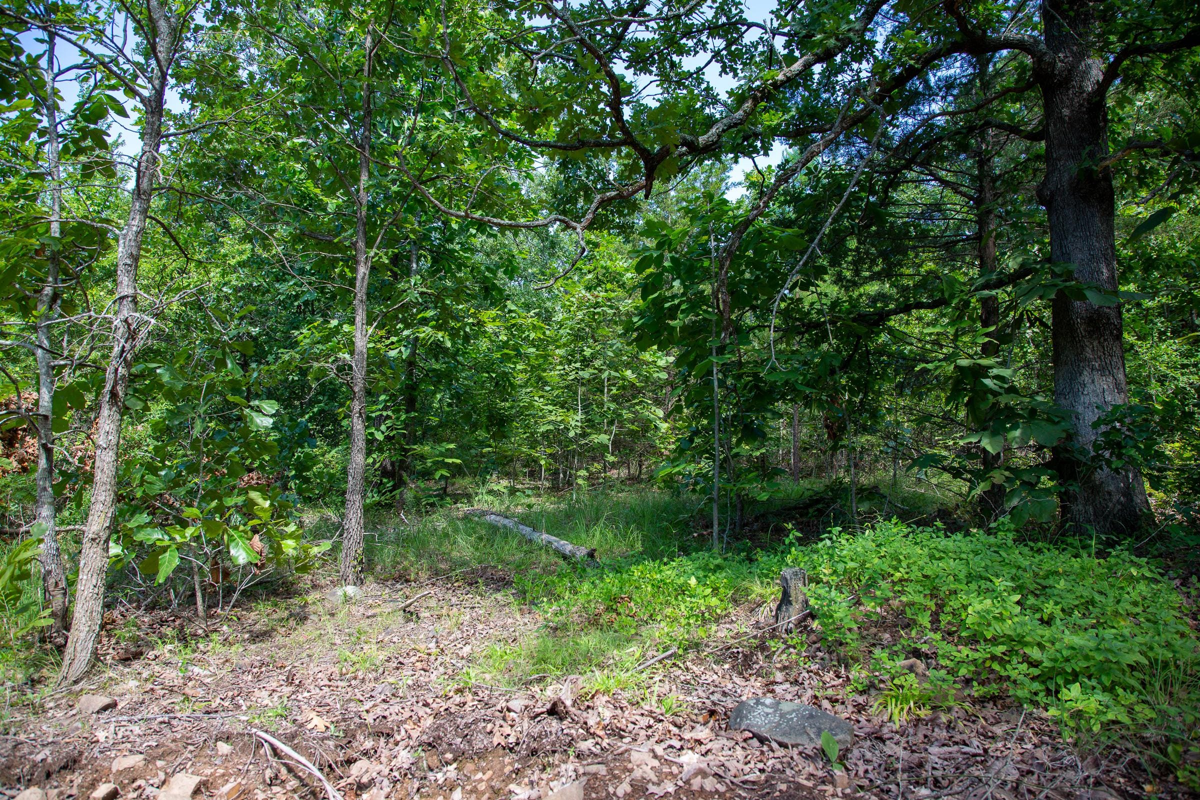 Tyler Stone Ranch photo 2