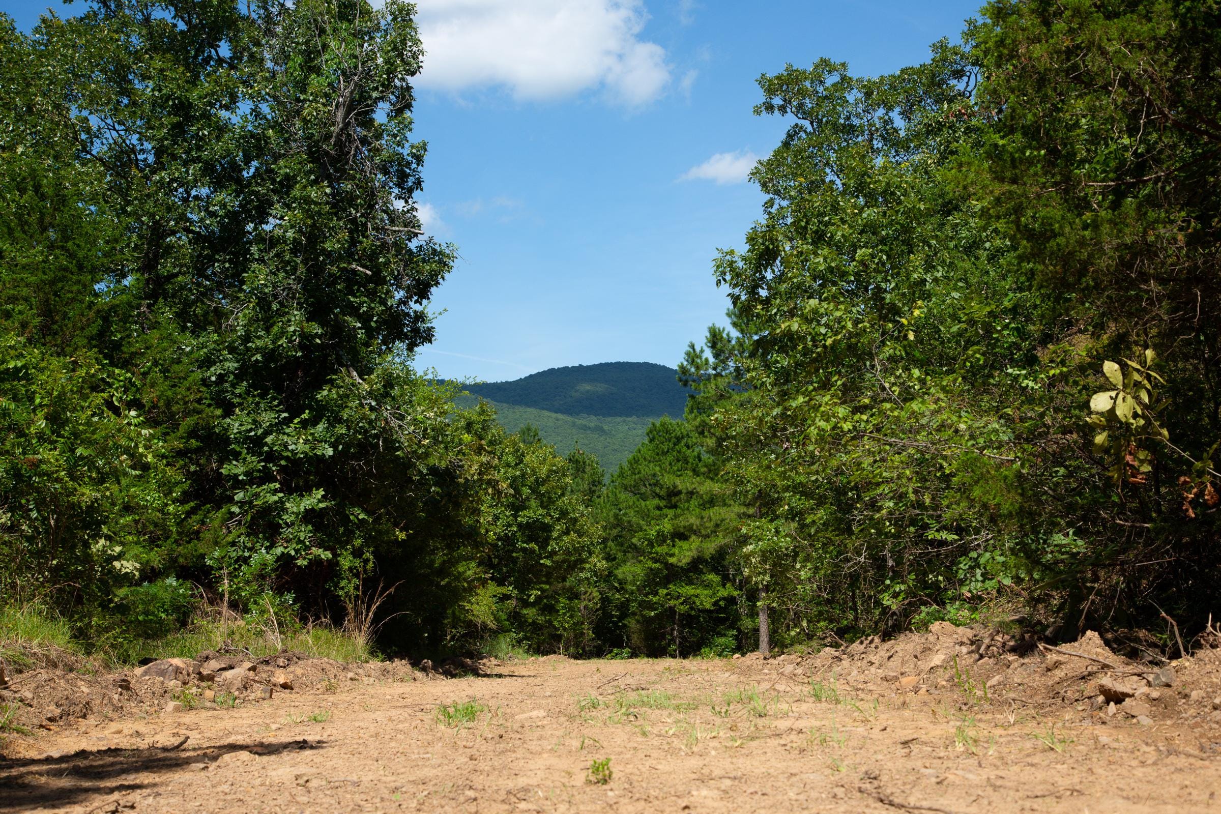 Tyler Stone Ranch photo 21