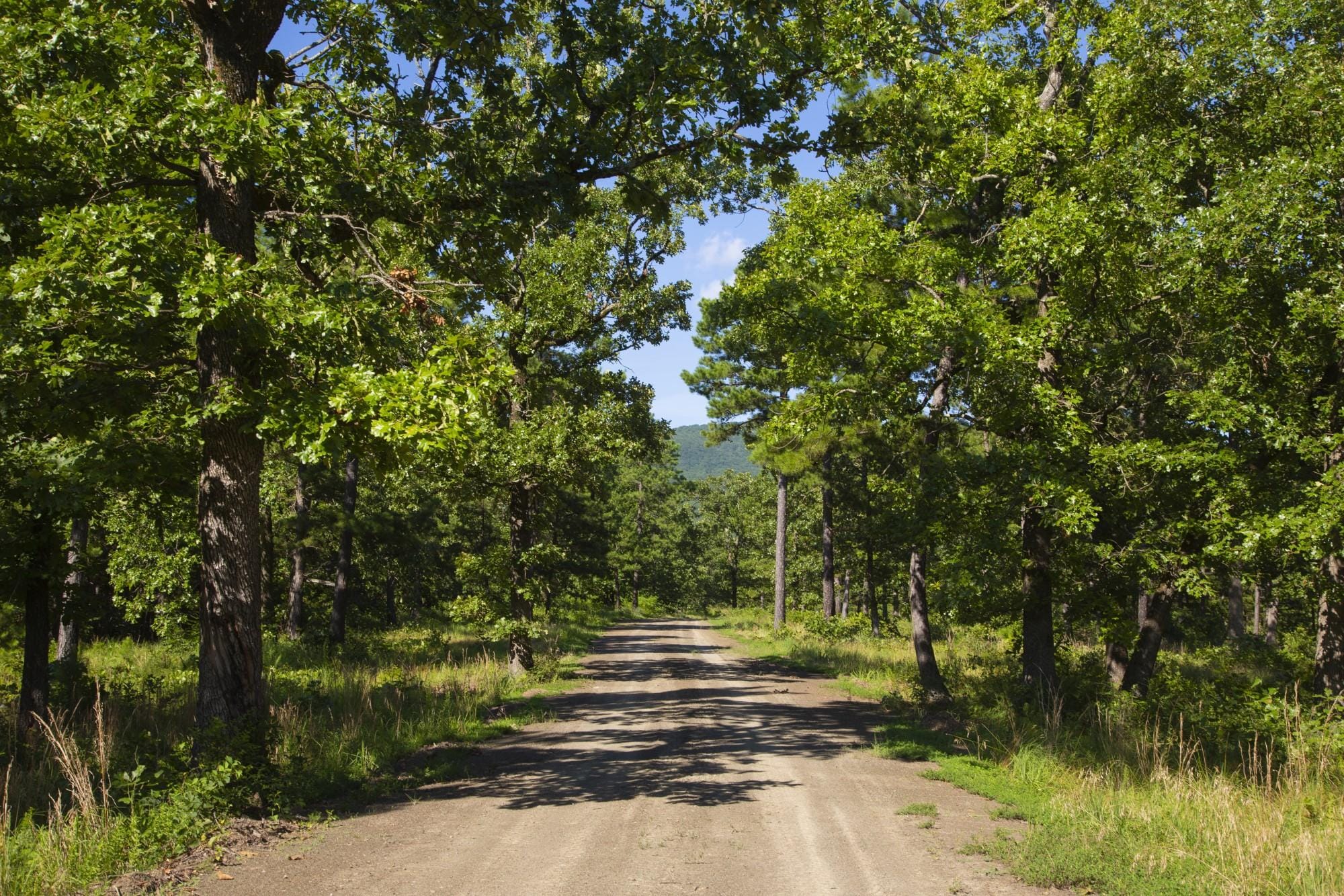 Tyler Stone Ranch photo 24
