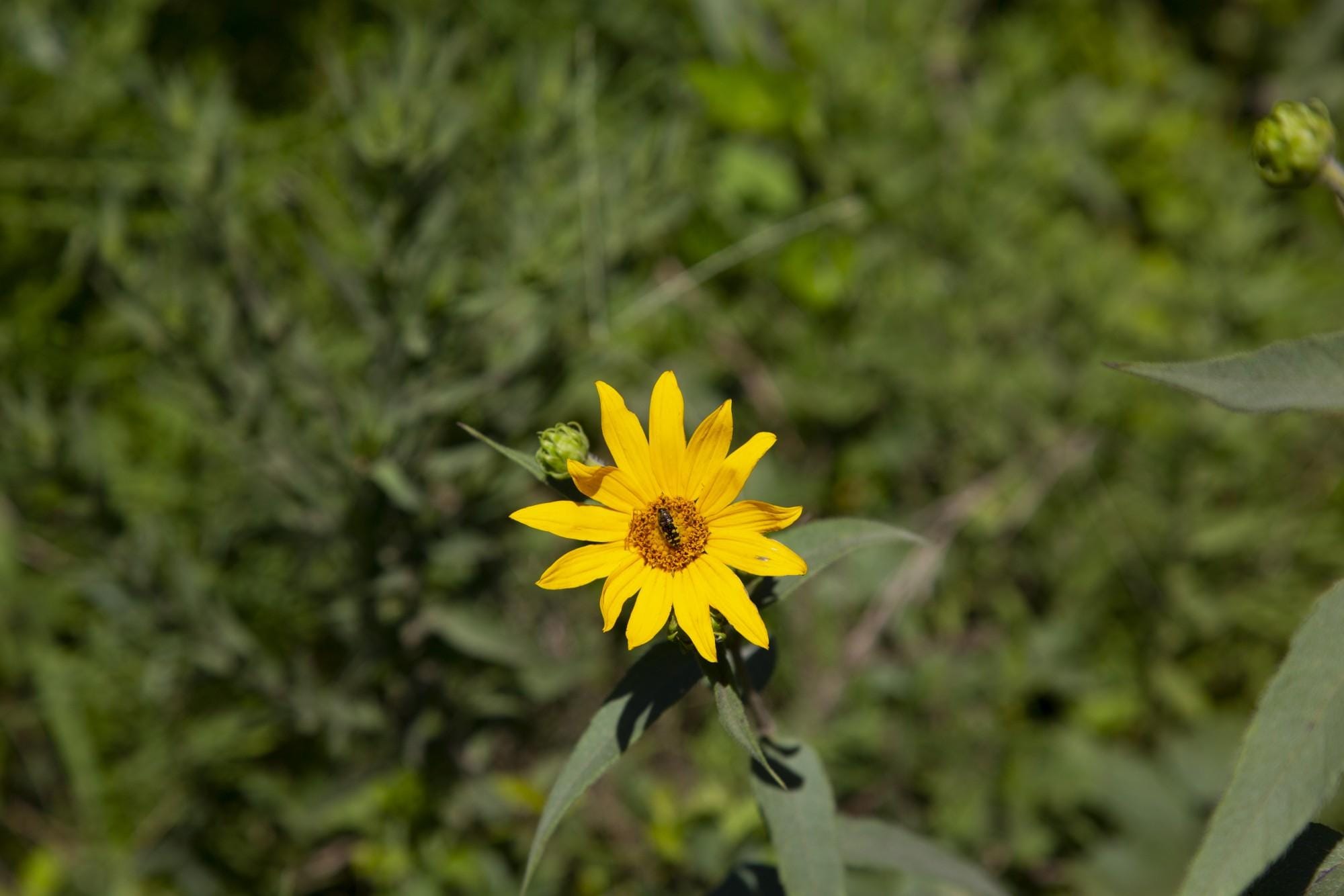 Tyler Stone Ranch photo 22
