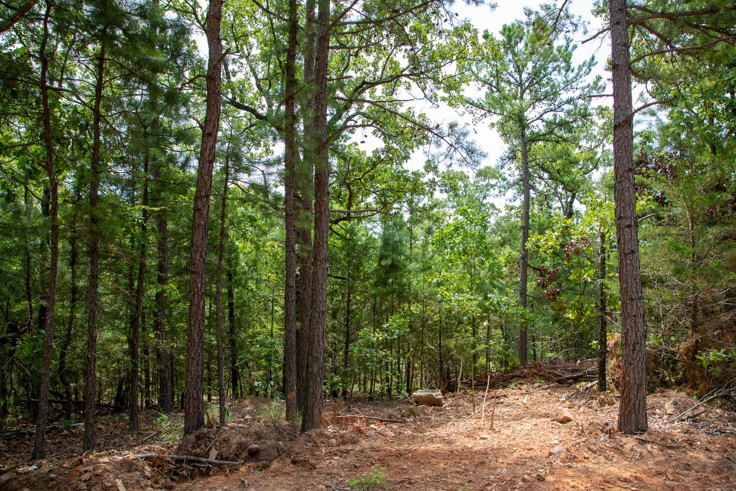 Tyler Stone Ranch photo 7