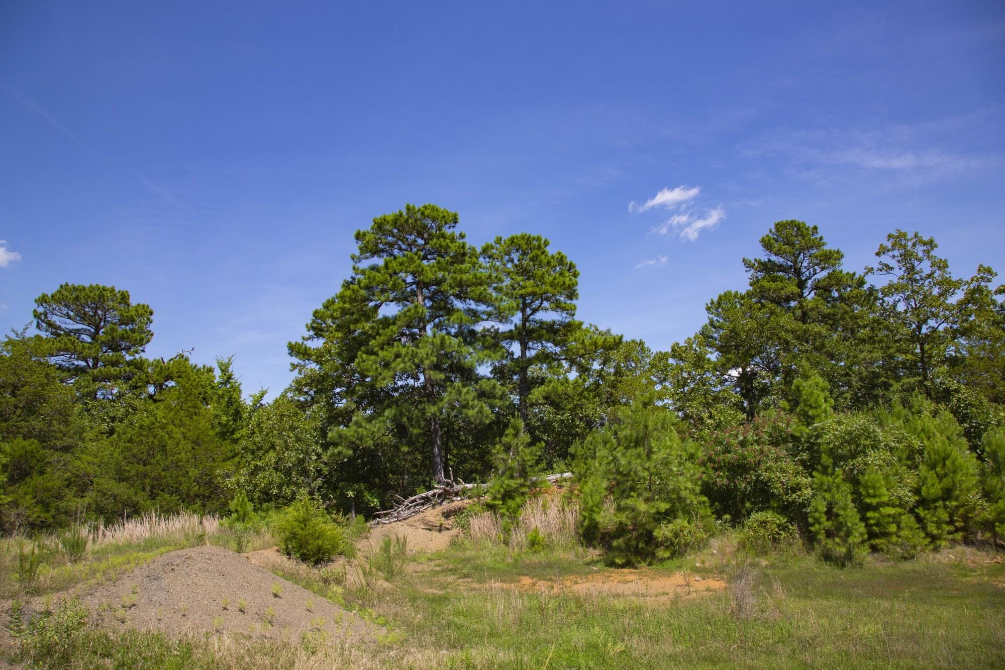 Tyler Stone Ranch photo 20