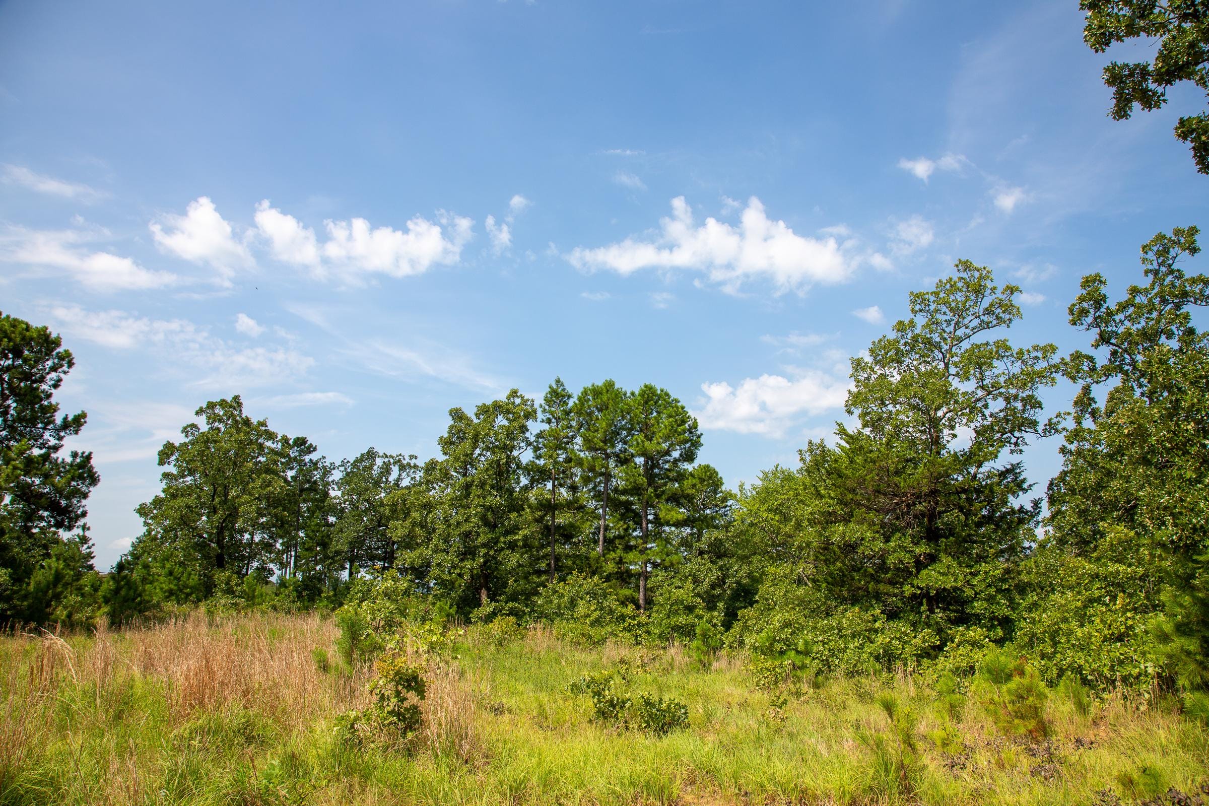Tyler Stone Ranch photo 4