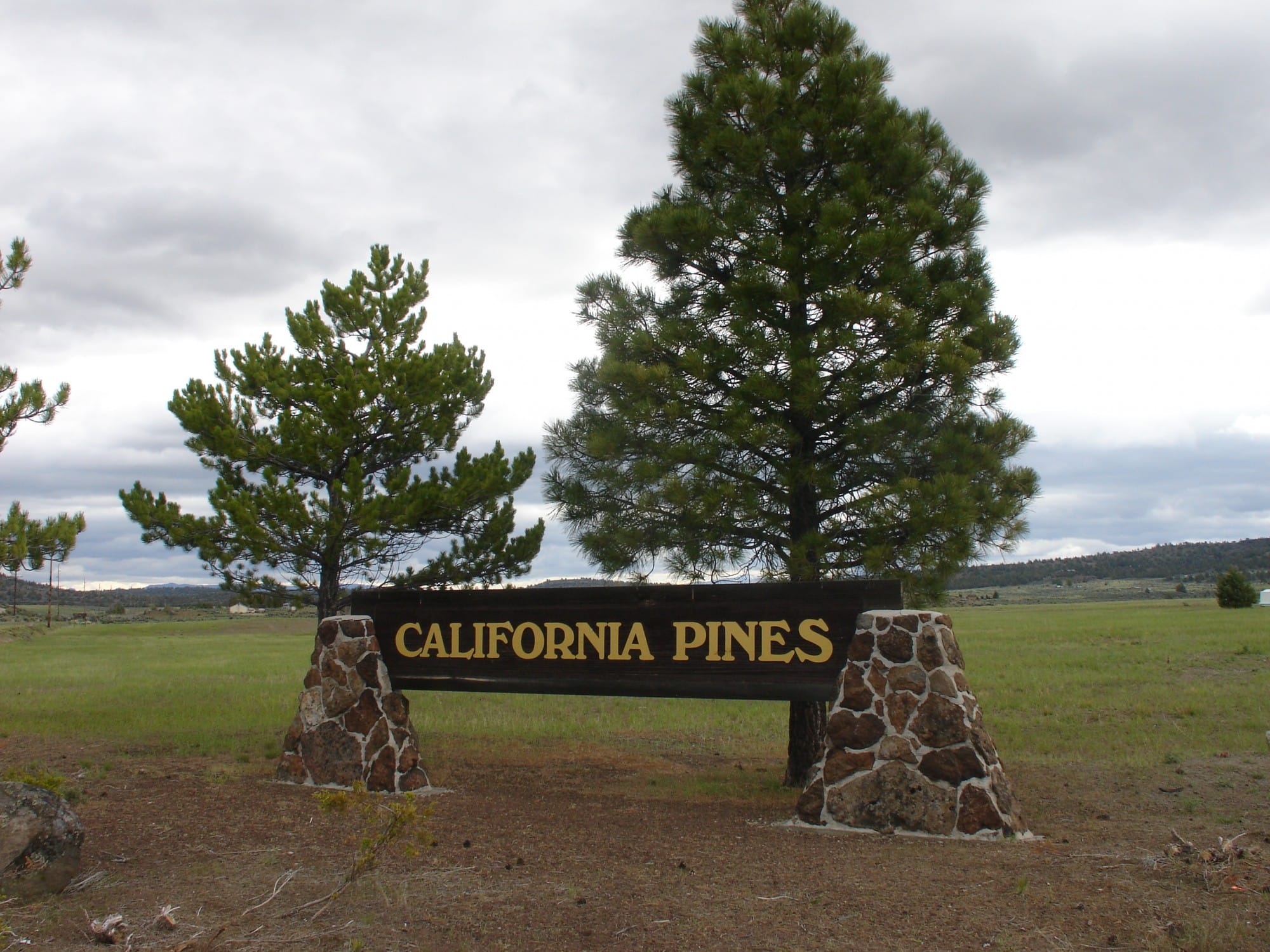 California Pines photo 9