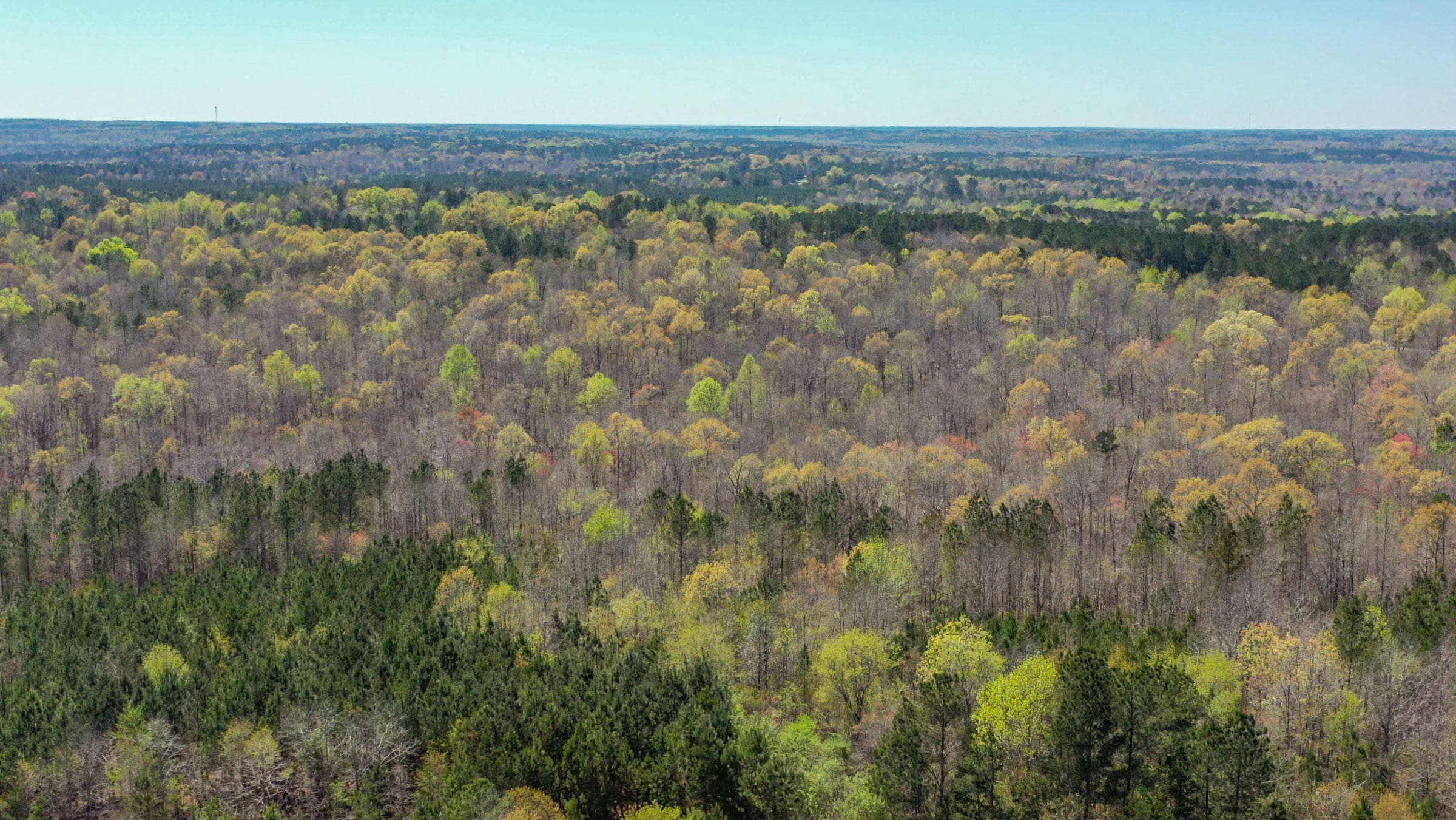 Southern Hills photo 24