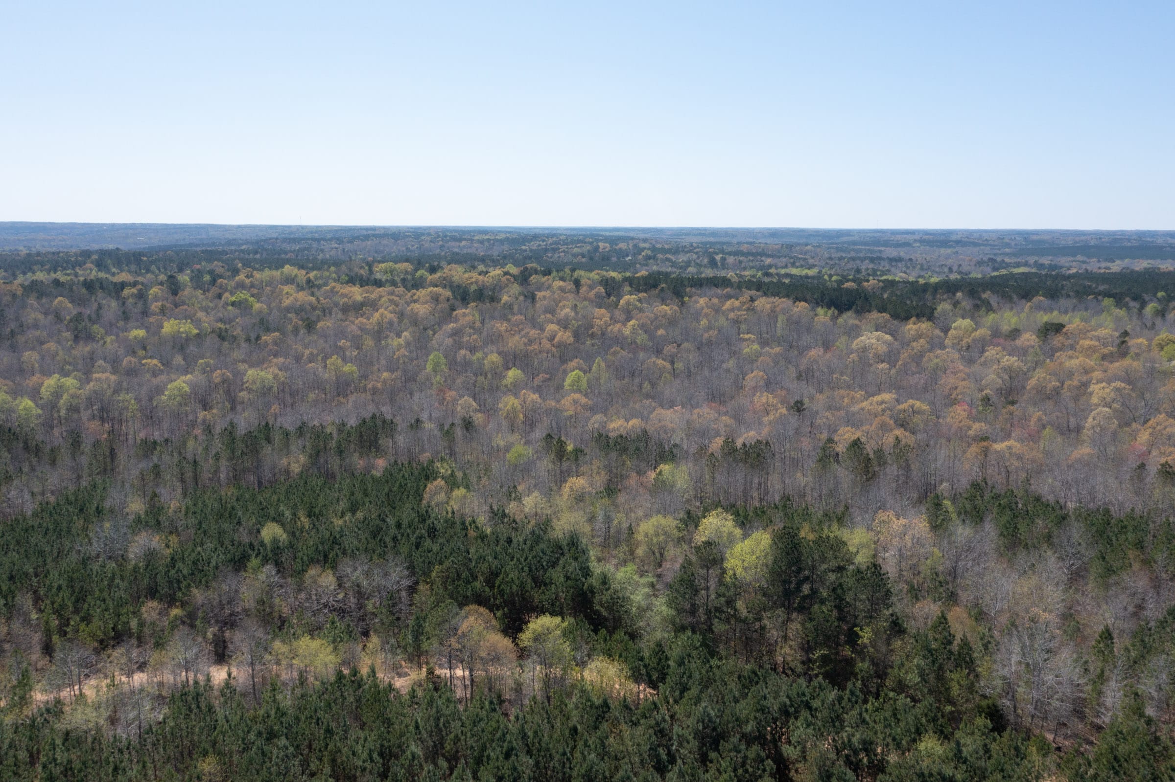 Southern Hills photo 4