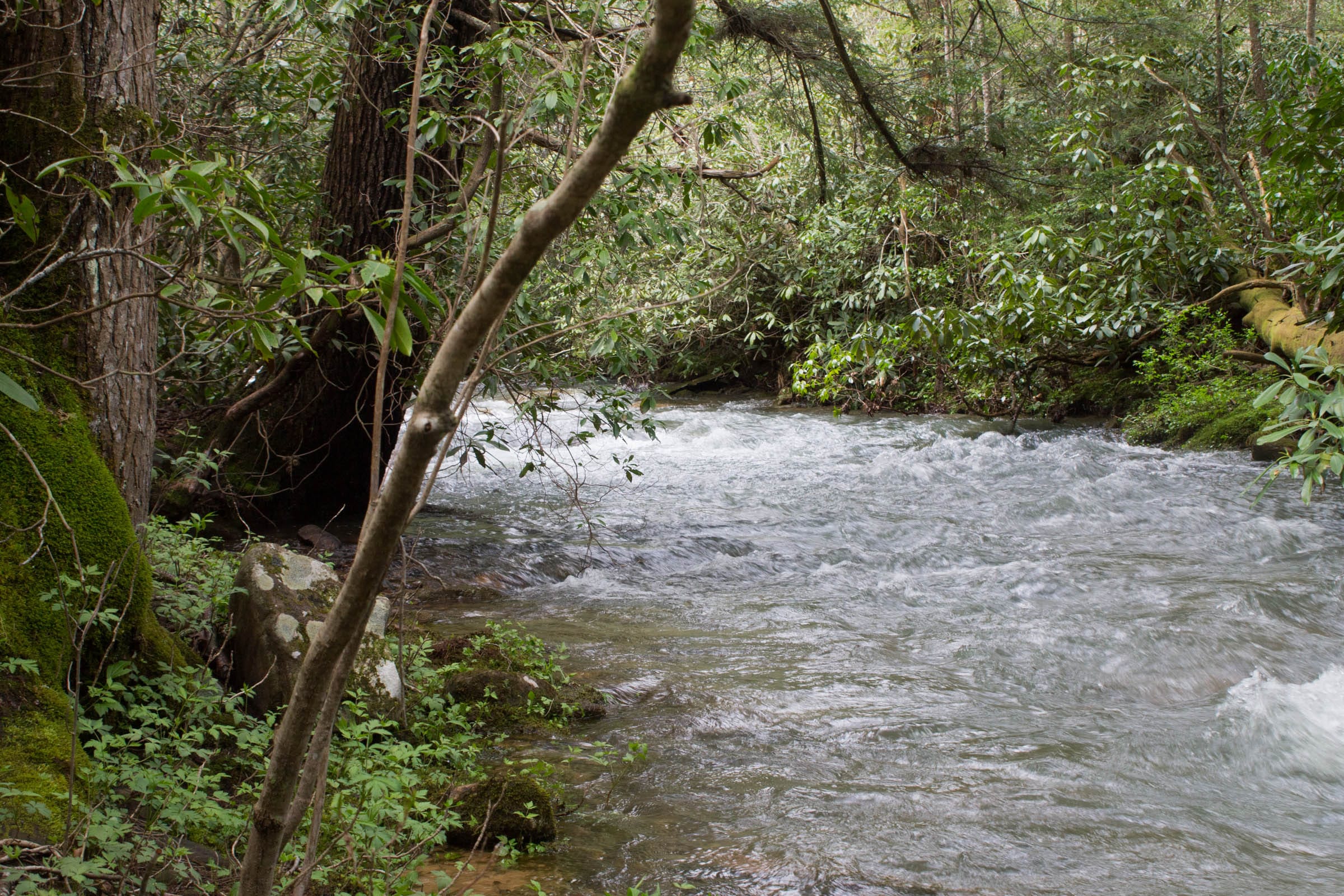 Hidden Hills photo 2