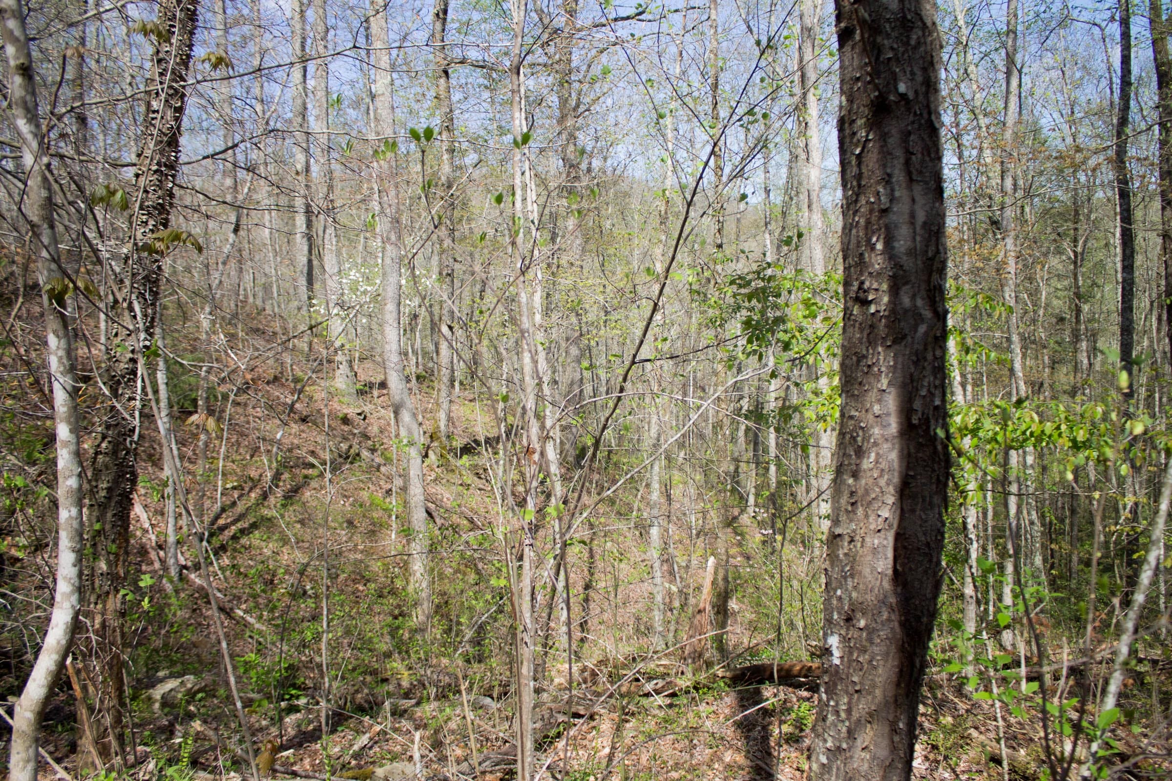 Hidden Hills photo 17