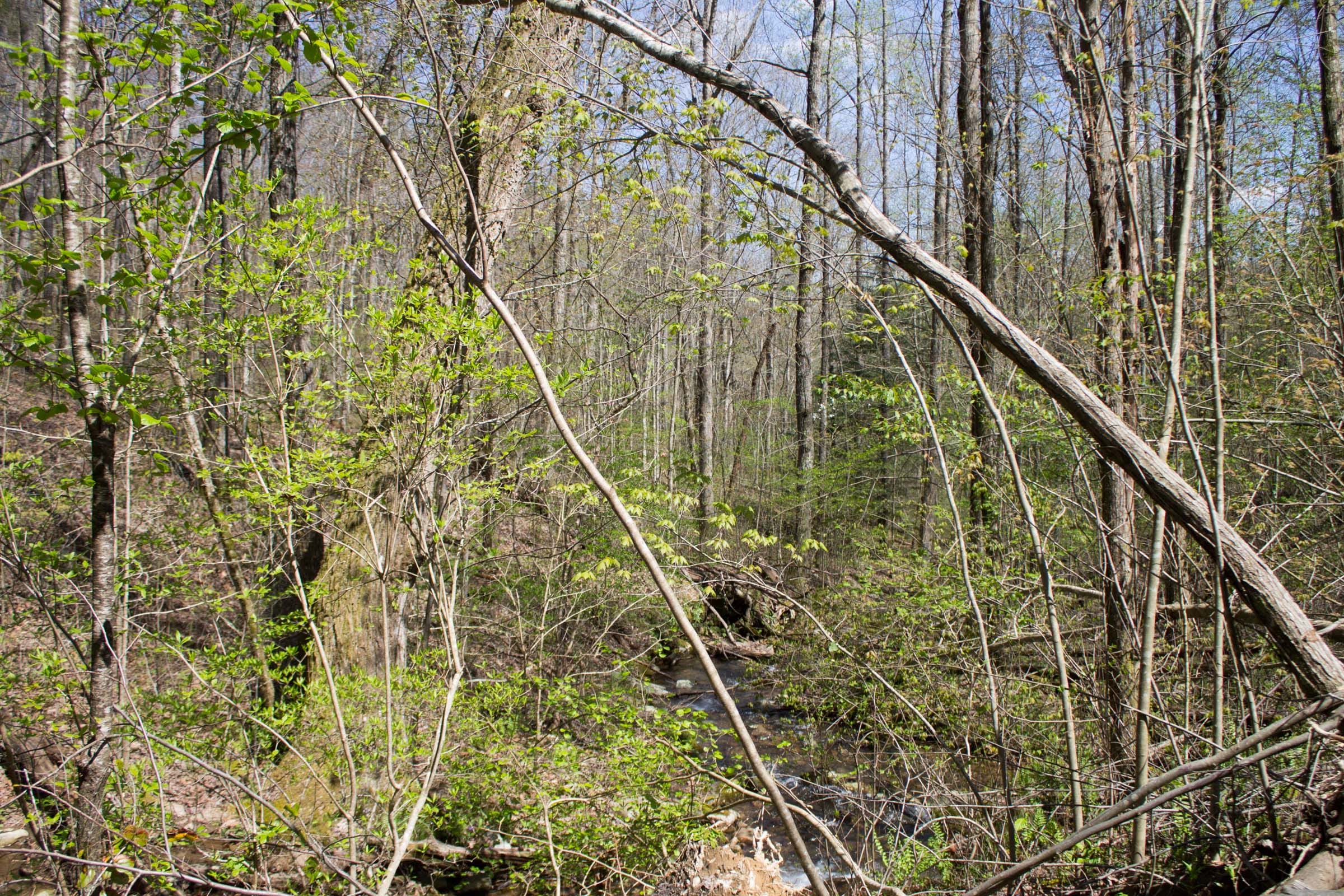 Hidden Hills photo 12