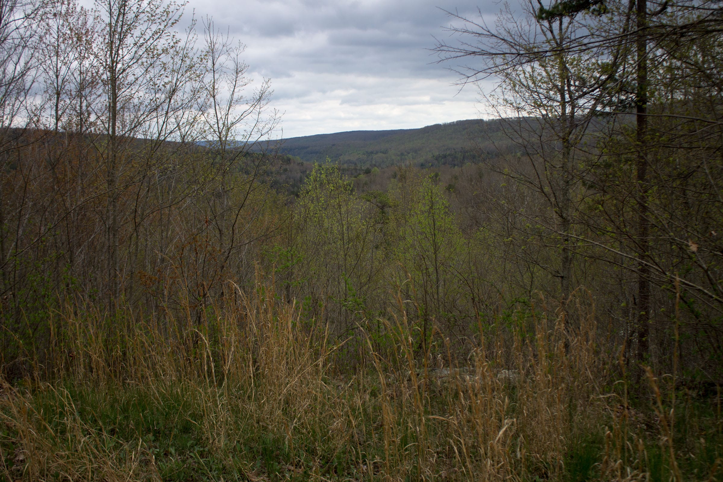 Hidden Hills photo 4