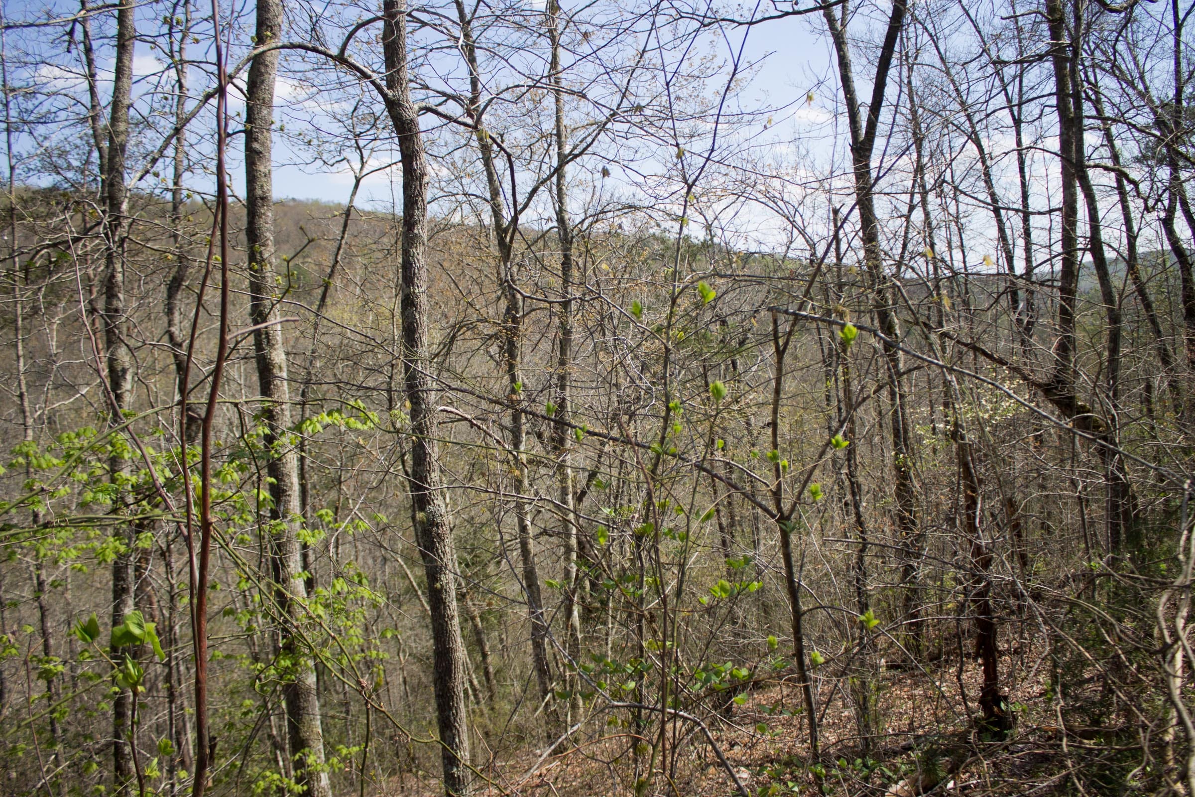 Hidden Hills photo 13