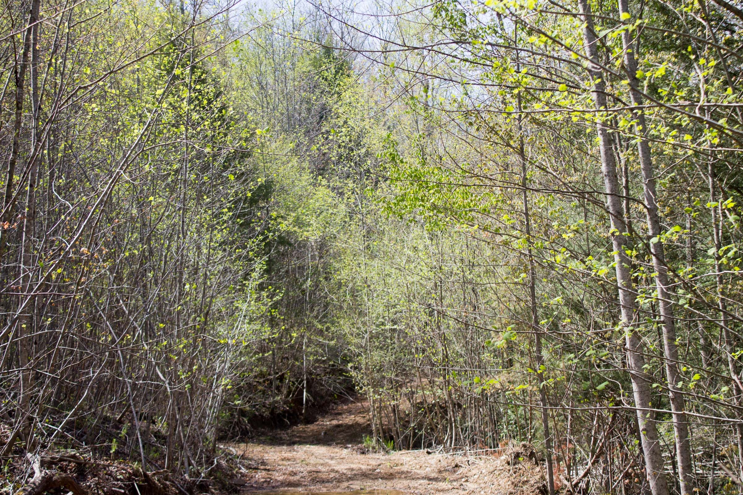 Hidden Hills photo 11