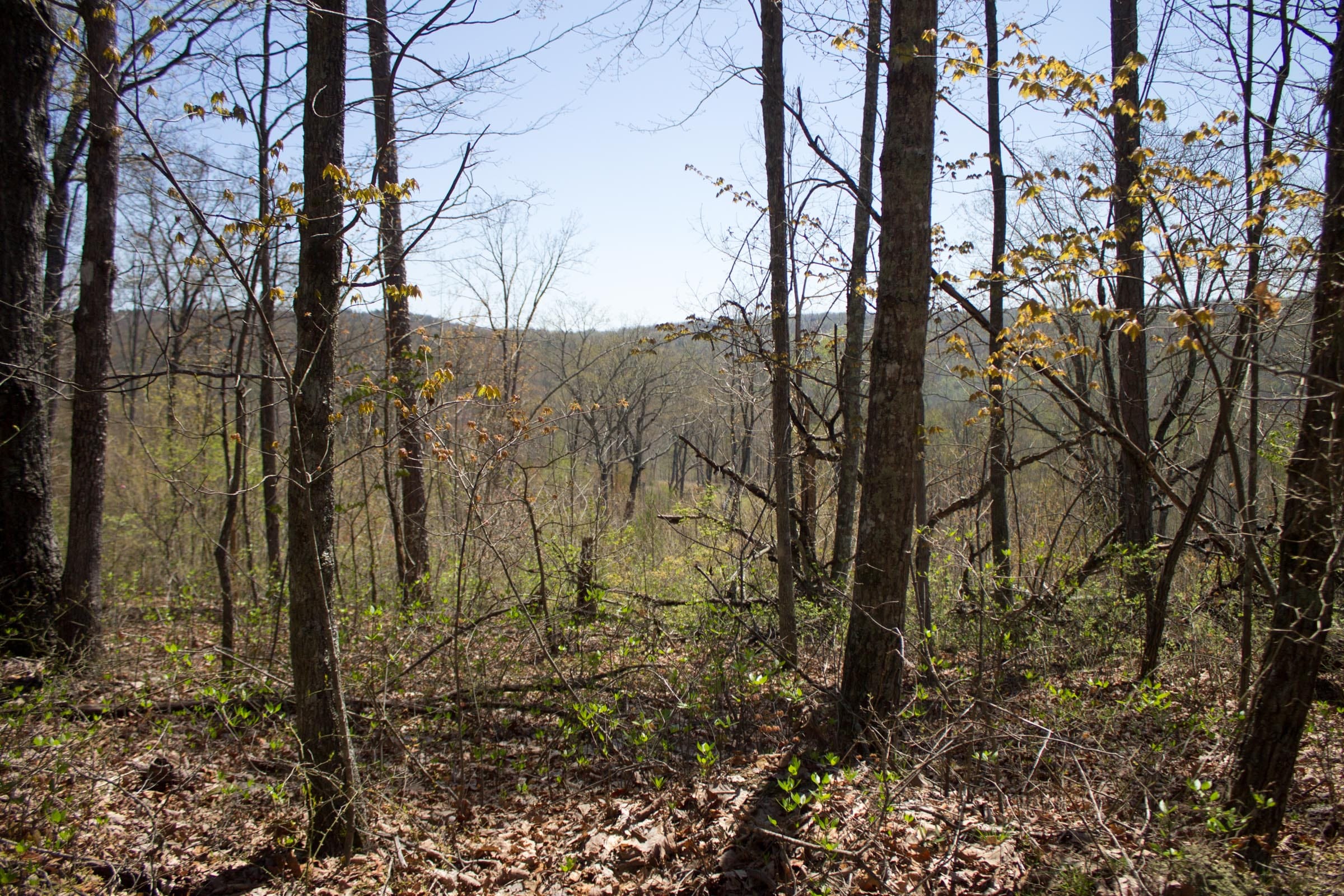 Hidden Hills photo 10