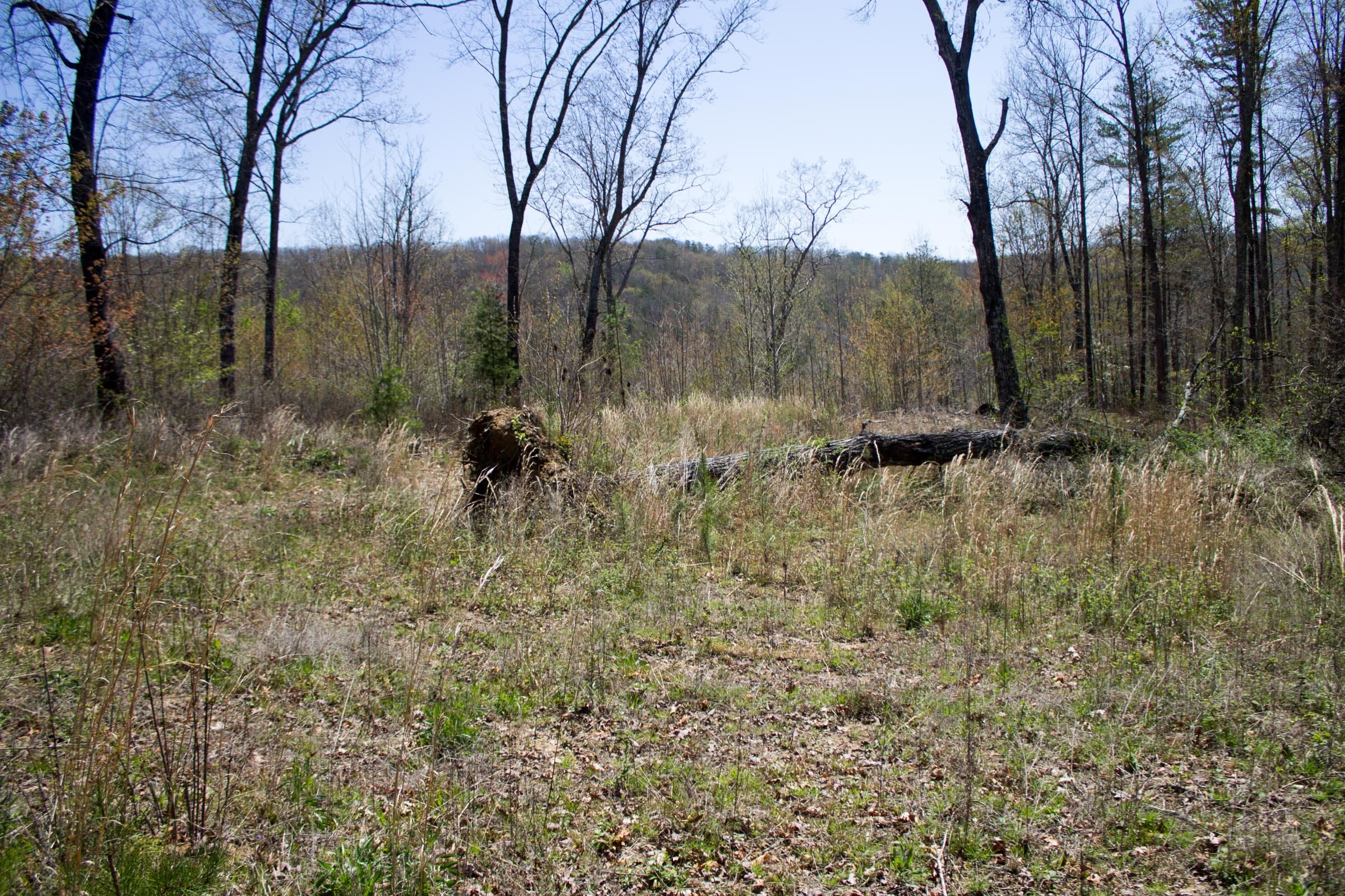 Hidden Hills photo 8