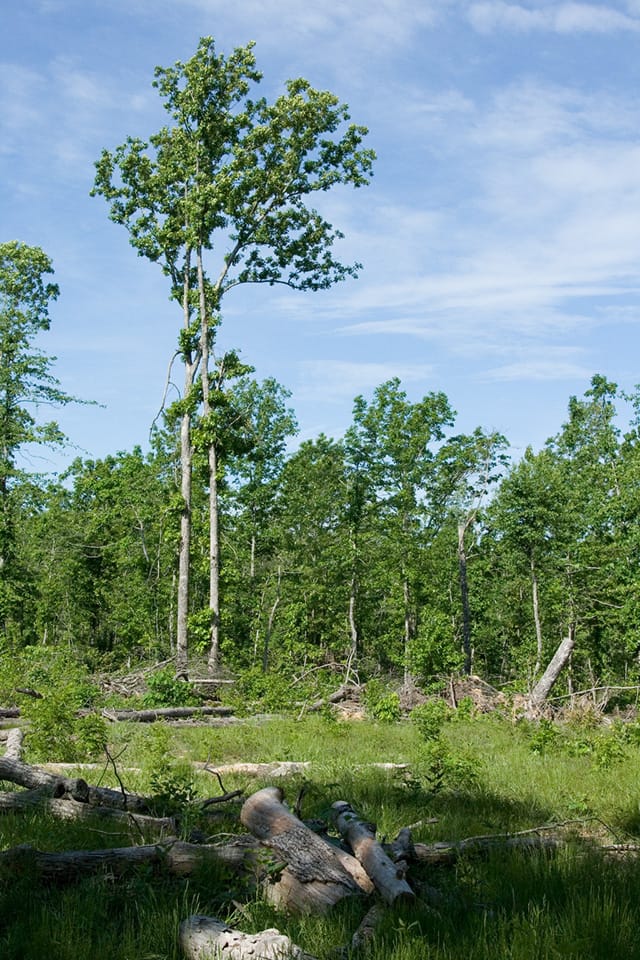 Blue Sky Ranch photo 12