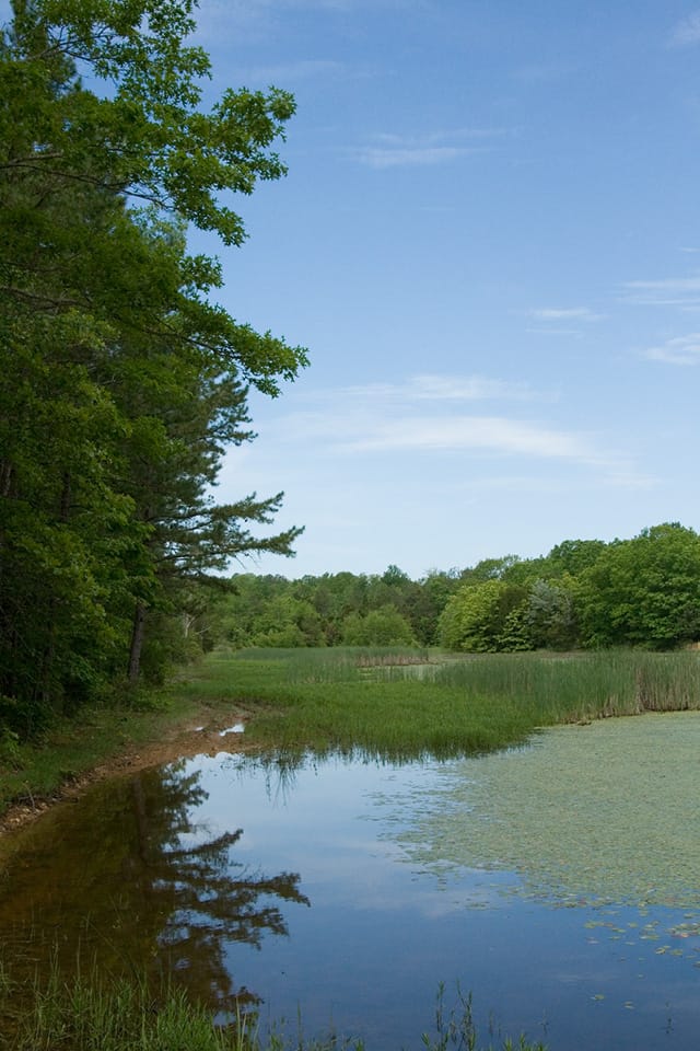 Blue Sky Ranch photo 16