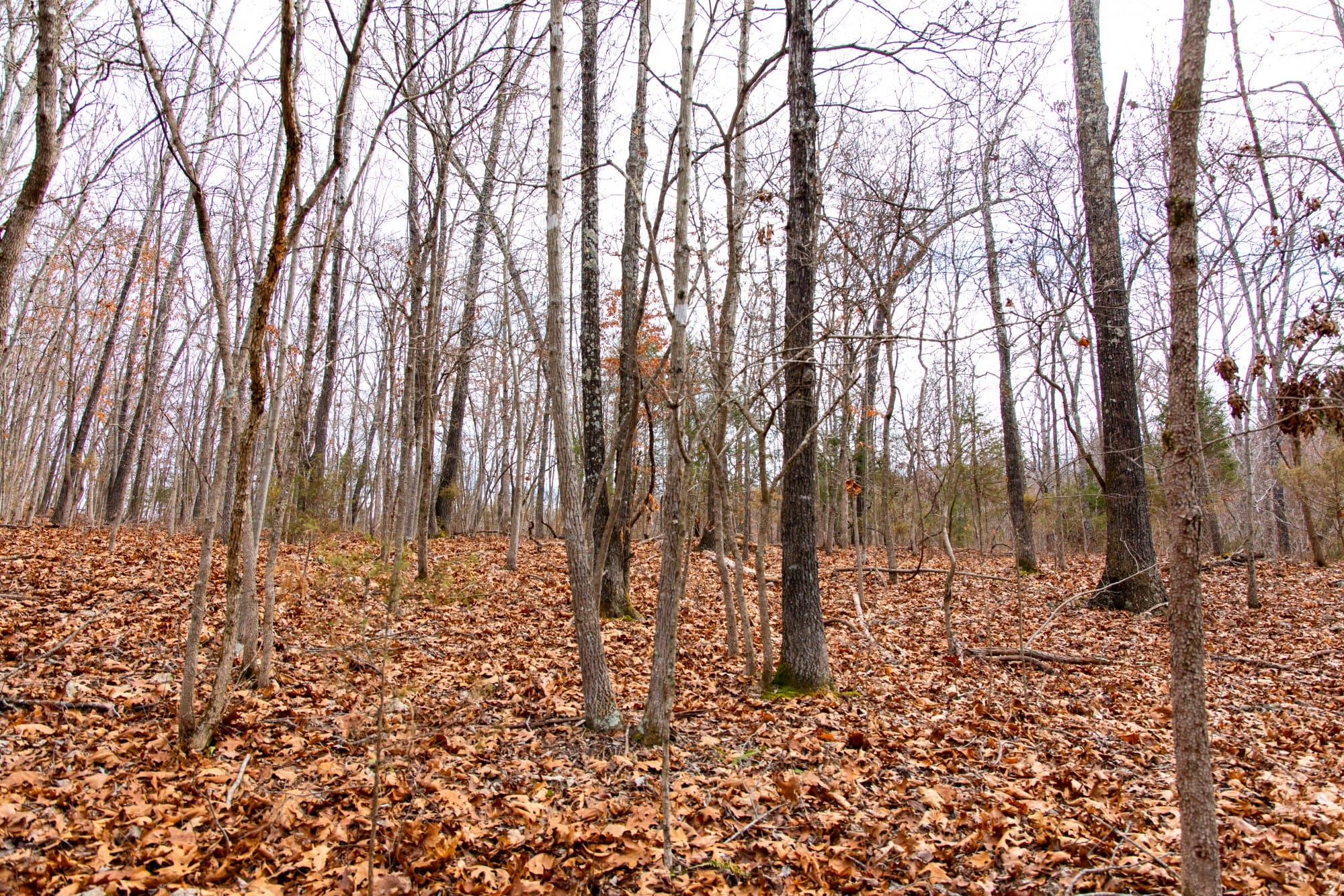Crossroads photo 7