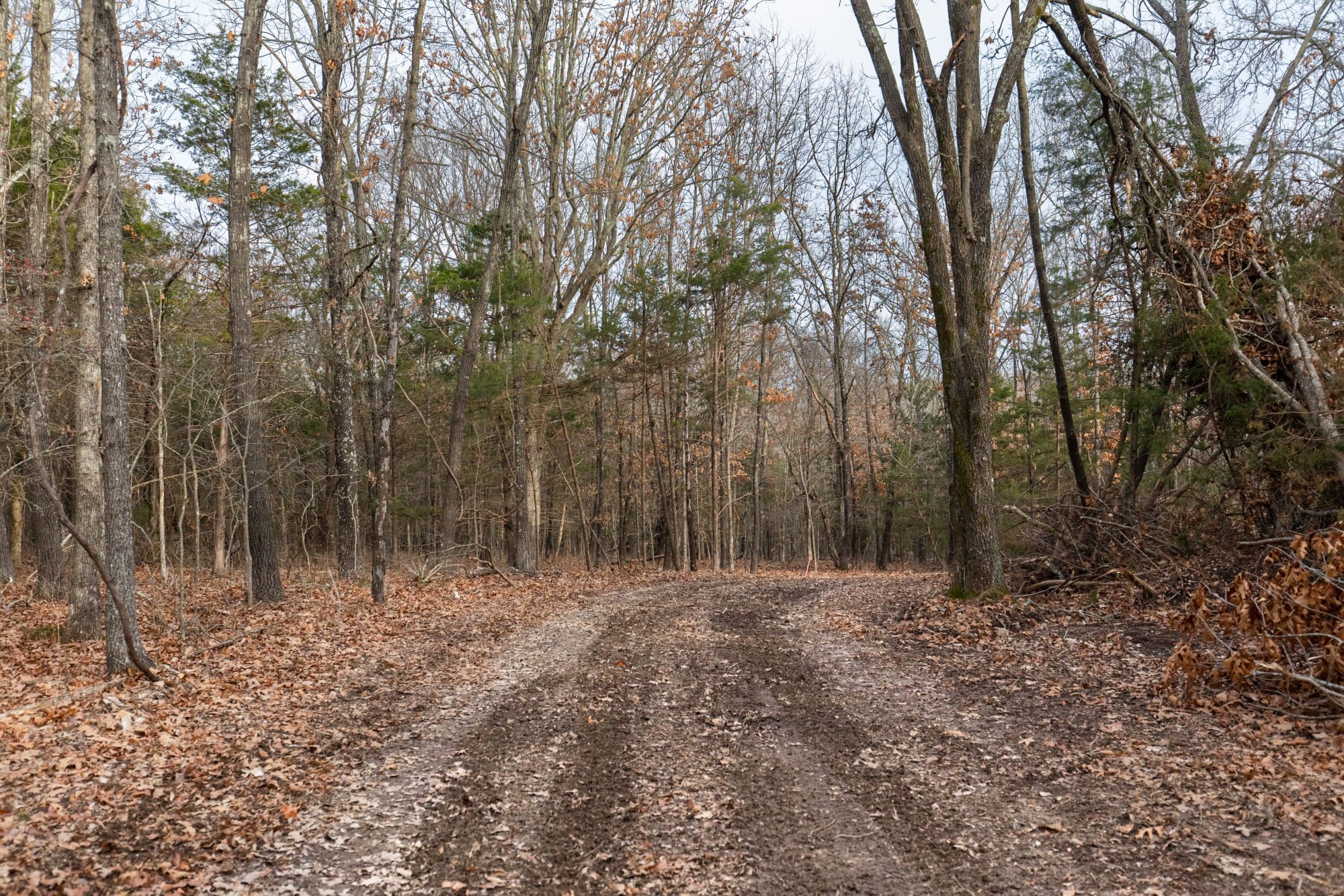 Crossroads photo 11