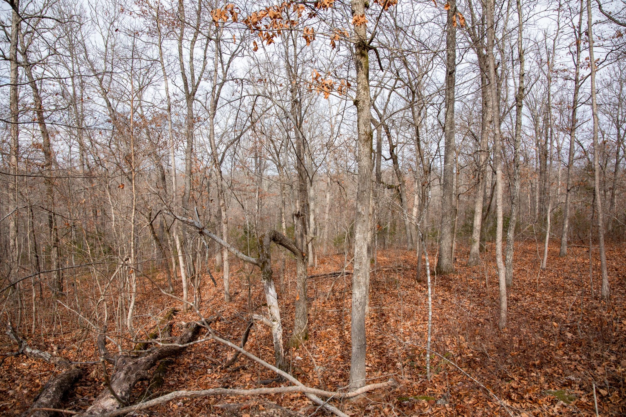 Crossroads photo 5