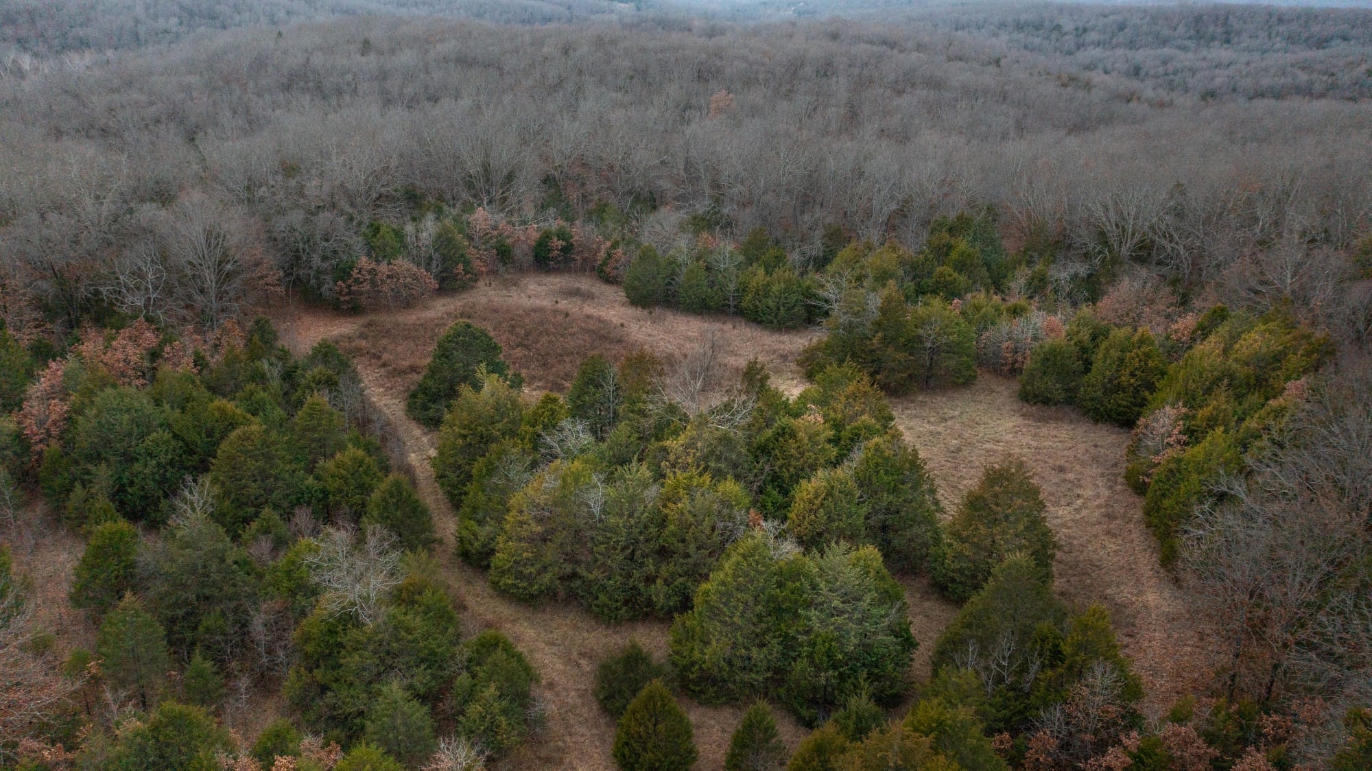 Crossroads photo 2
