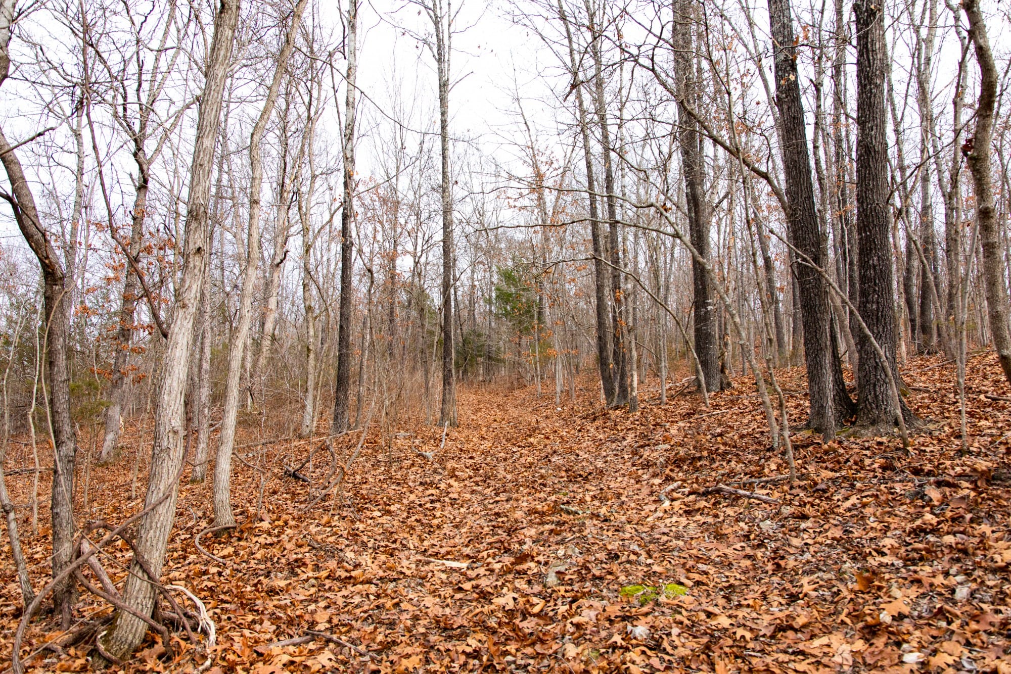 Crossroads photo 6