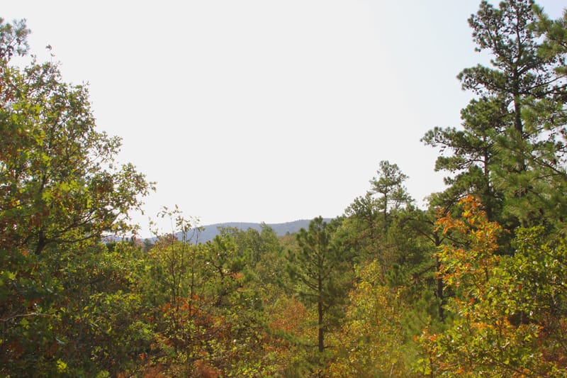 Trophy Ridge Phase I photo 9