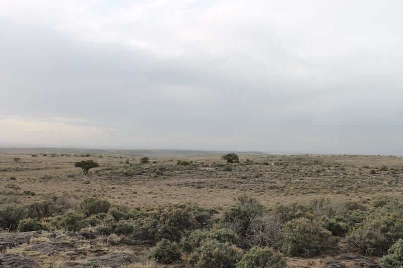 San Luis Valley Ranches photo 11