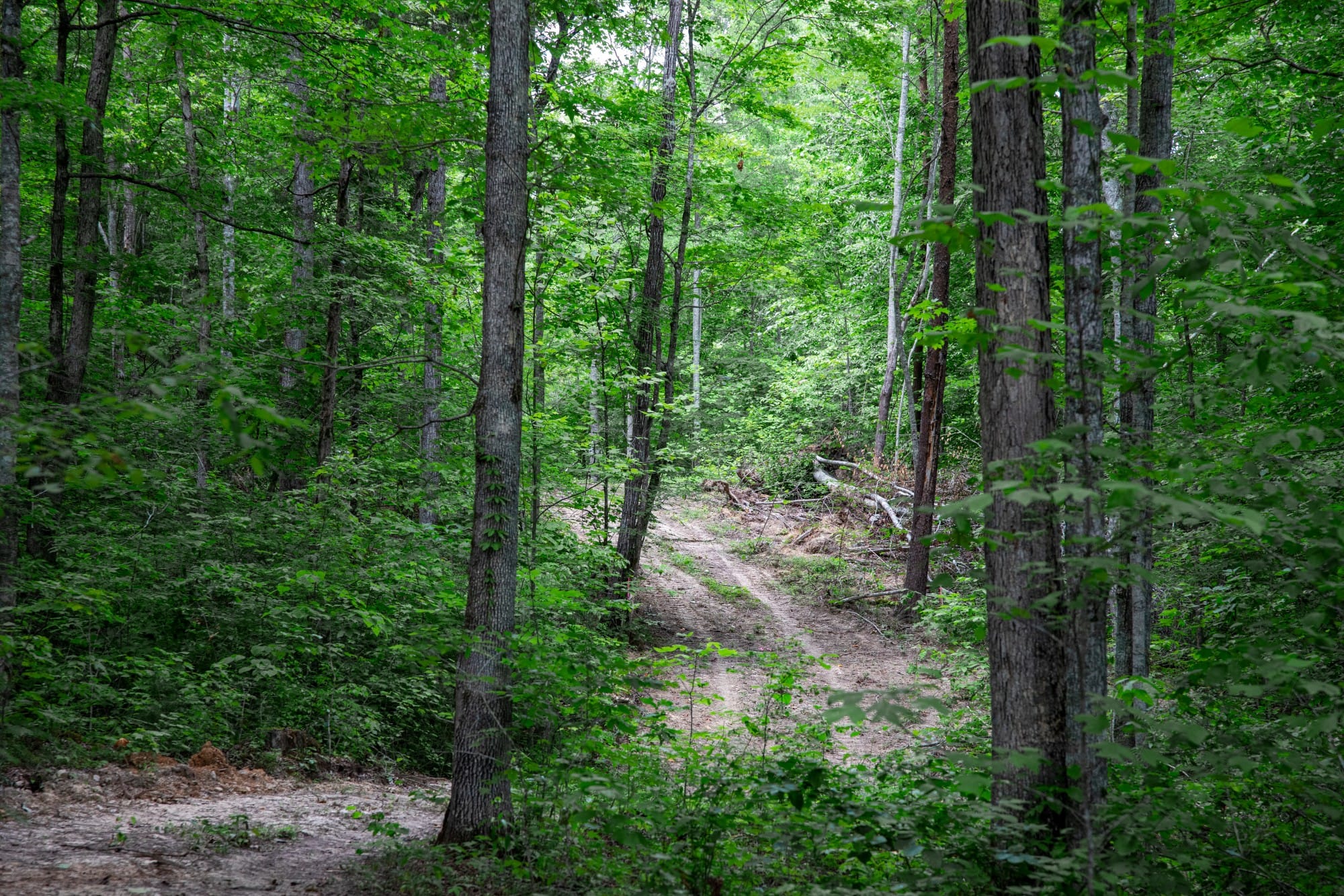 Tucker Hollow photo 8