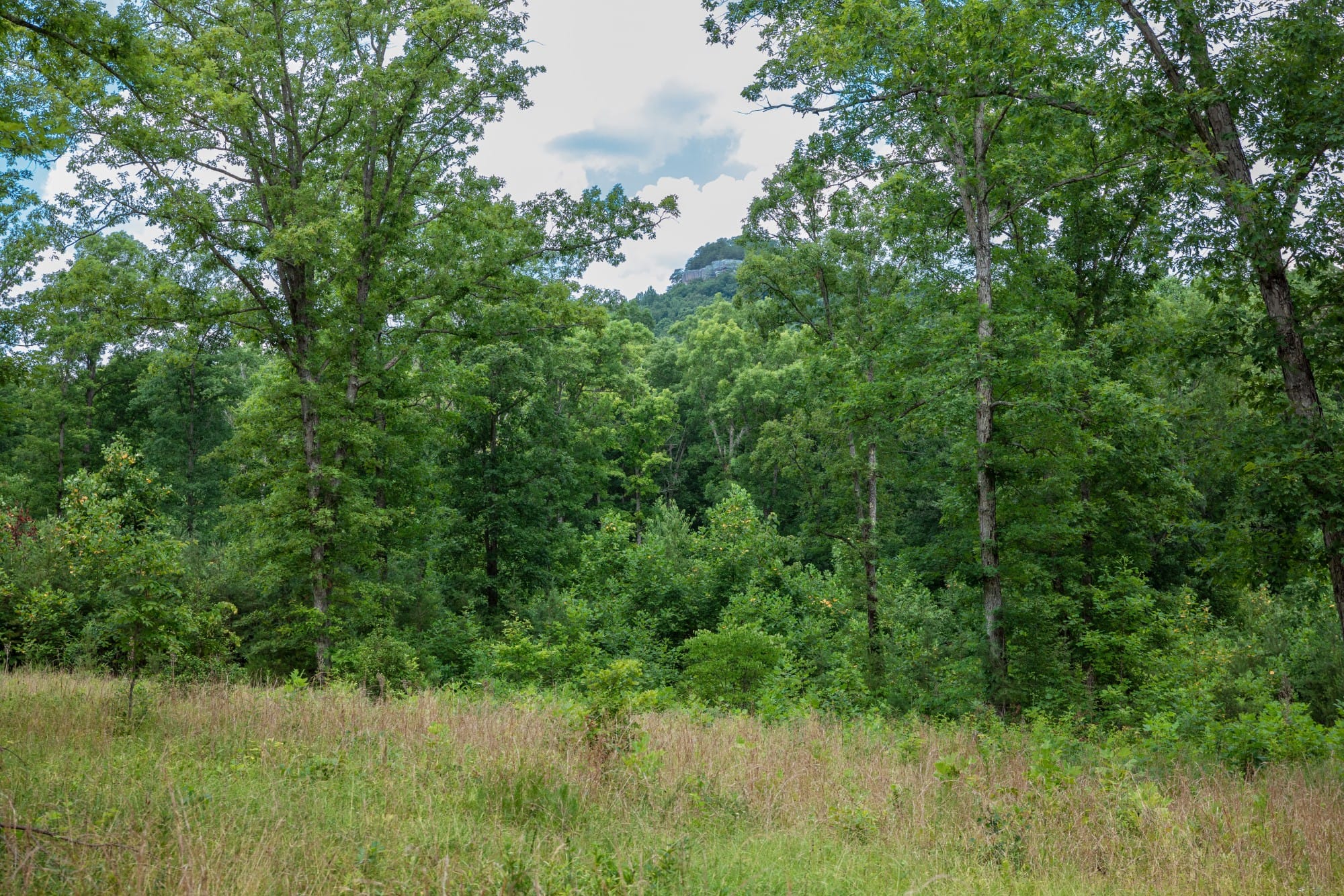 Tucker Hollow photo 5