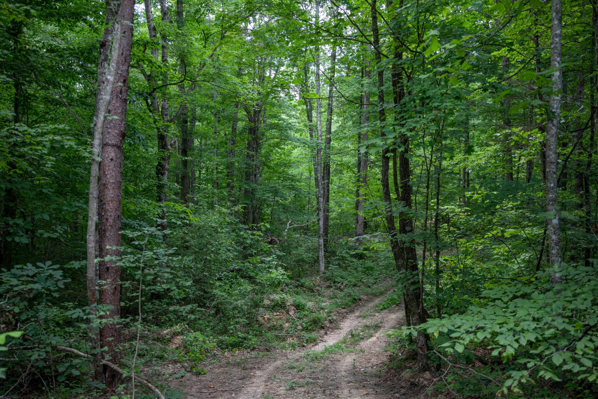 Tucker Hollow photo 7
