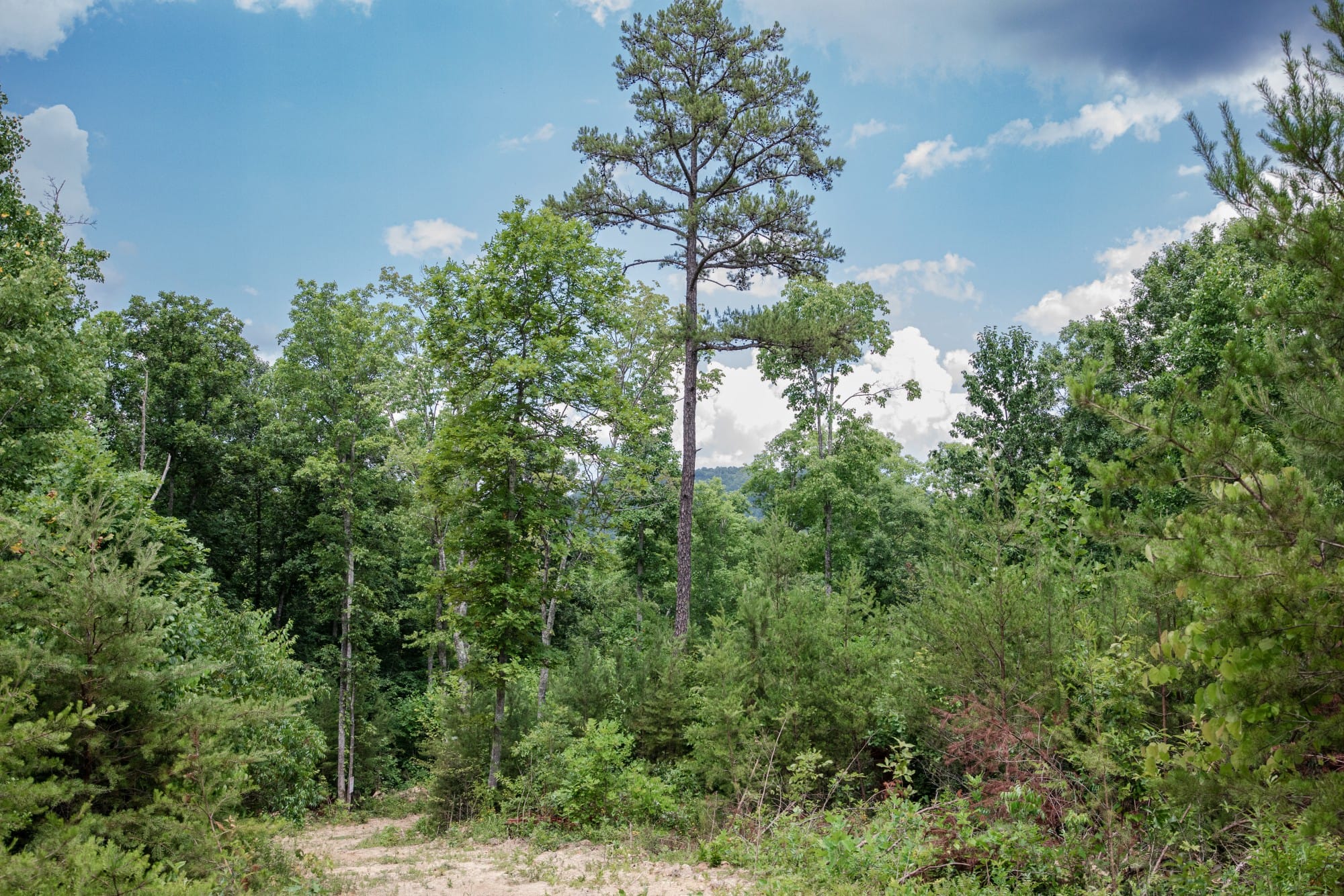 Tucker Hollow photo 9
