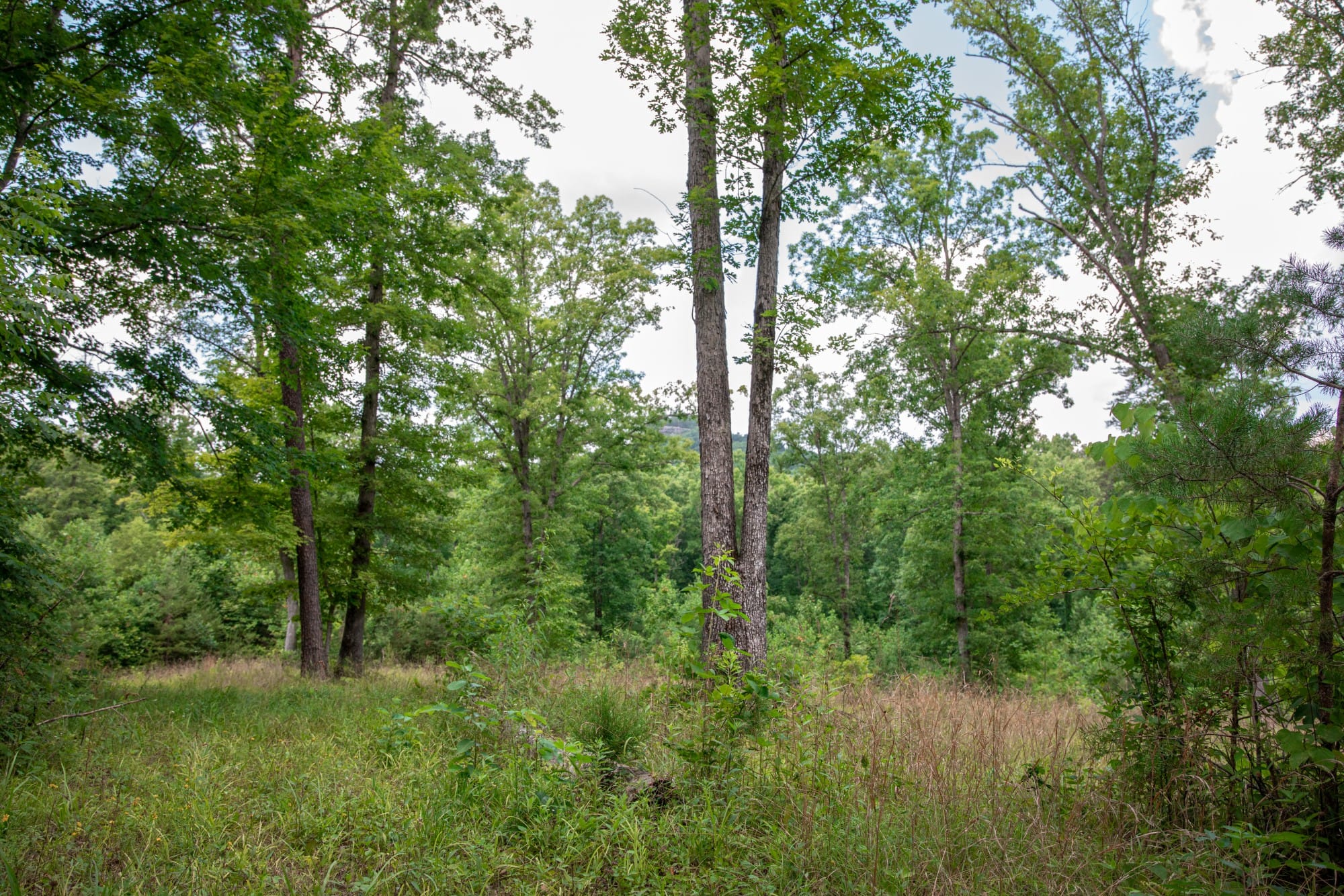 Tucker Hollow photo 4
