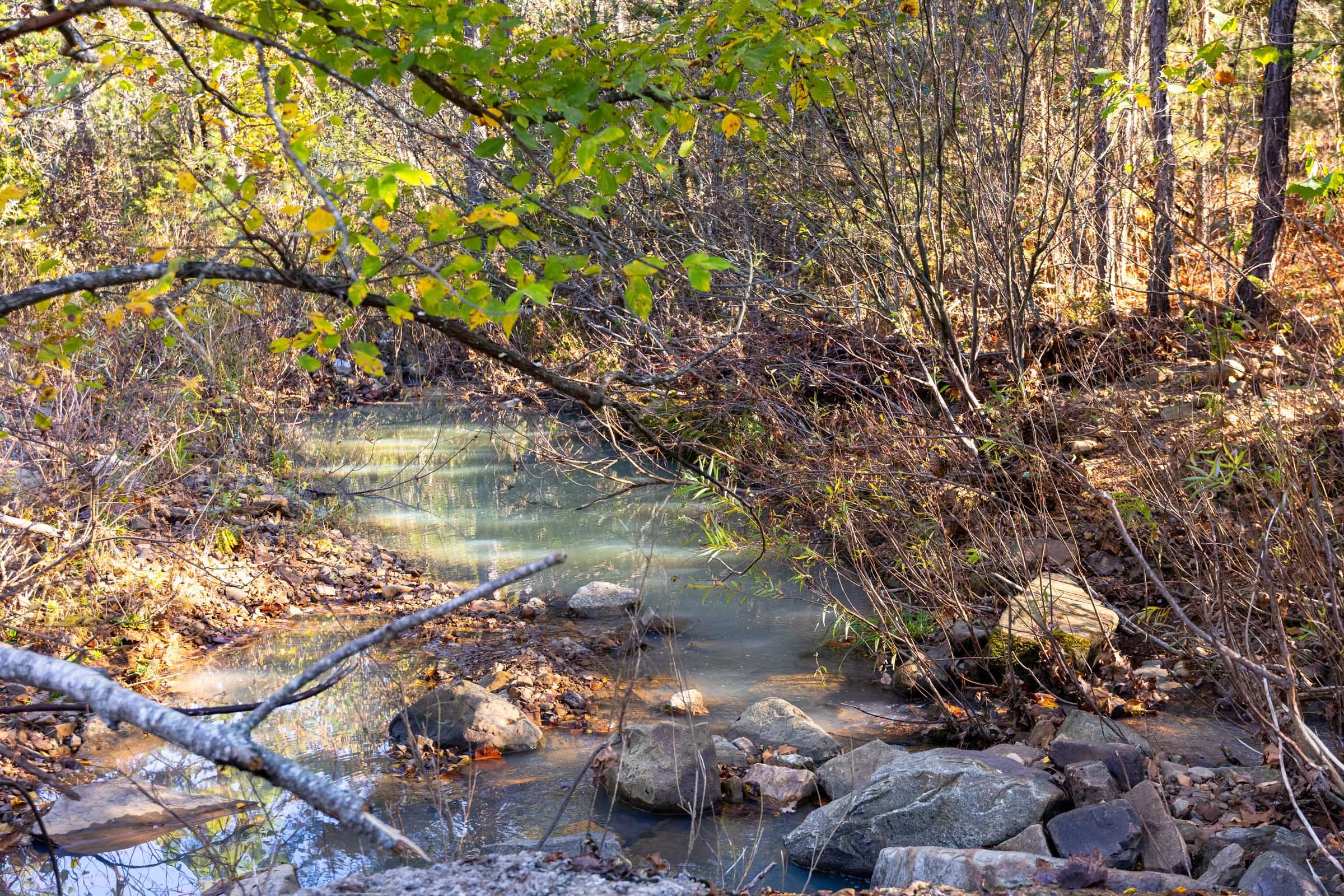 Stone Bridge Reserve photo 14