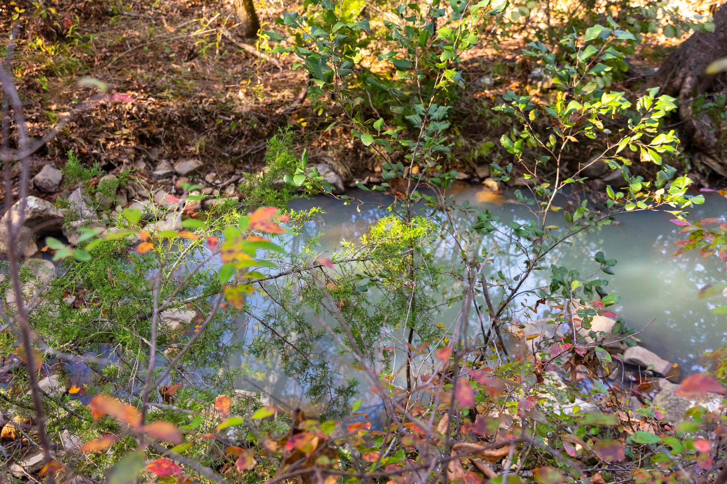 Stone Bridge Reserve photo 22