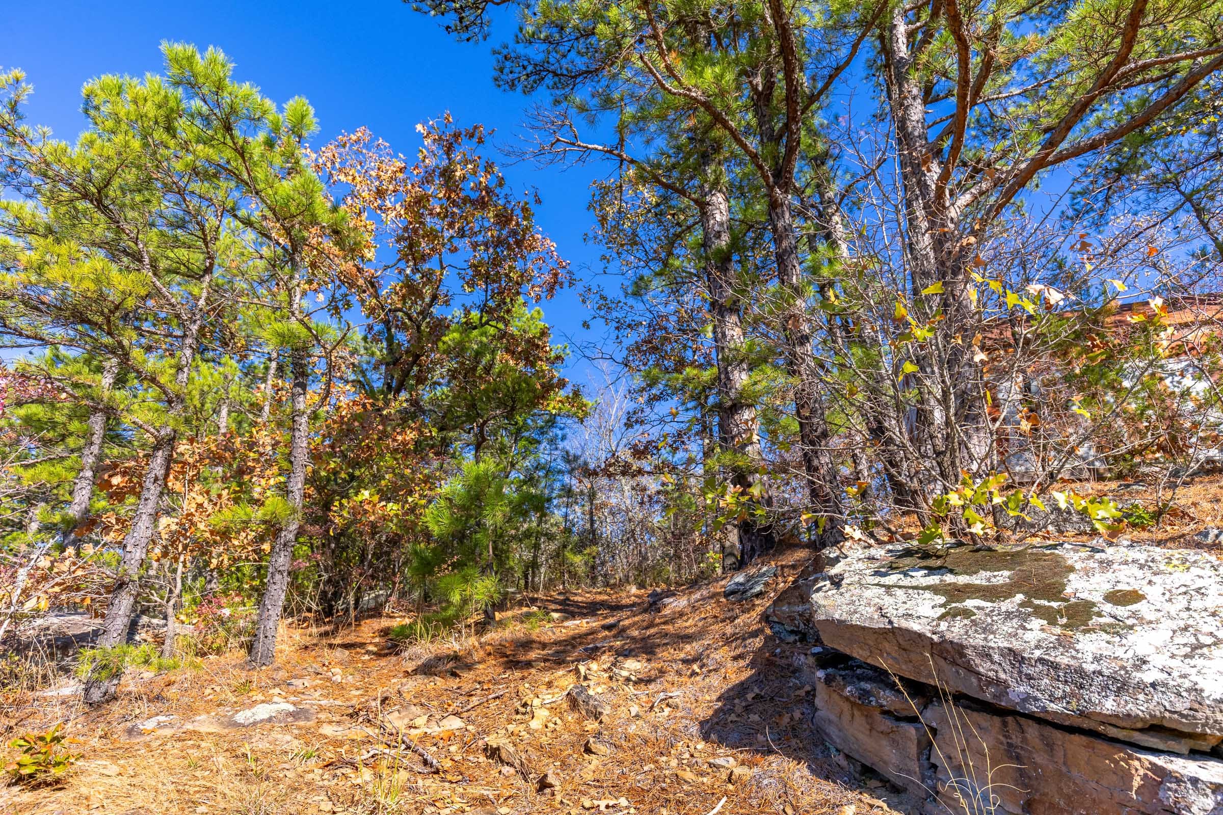 Stone Bridge Reserve photo 26