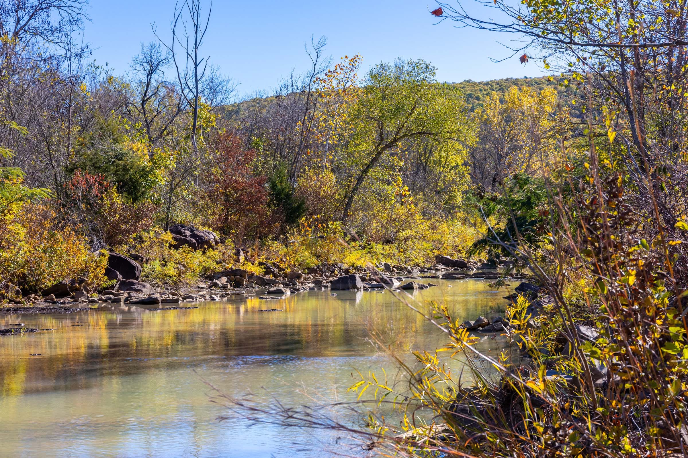 Stone Bridge Reserve photo 12