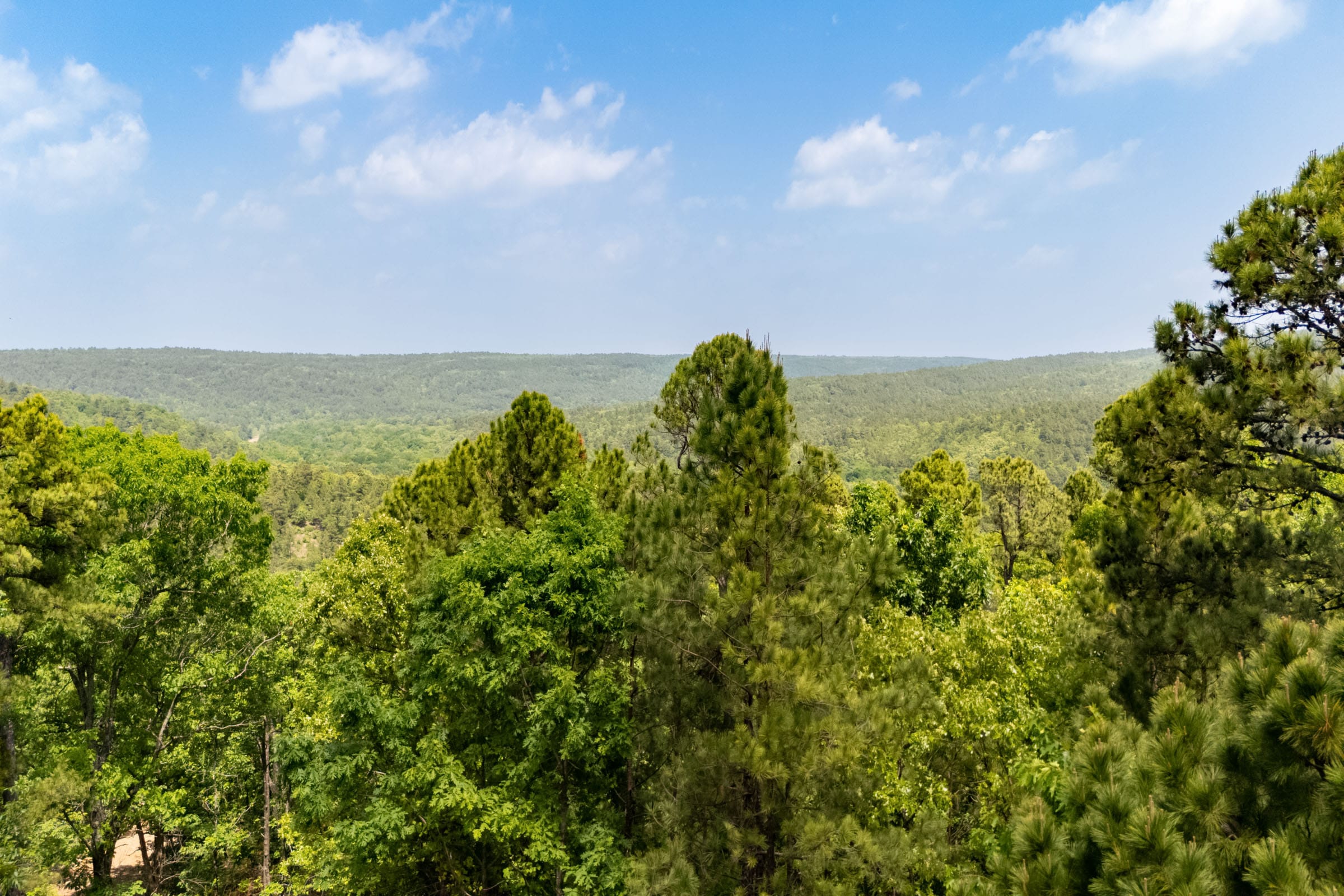 Stone Bridge Reserve photo 3