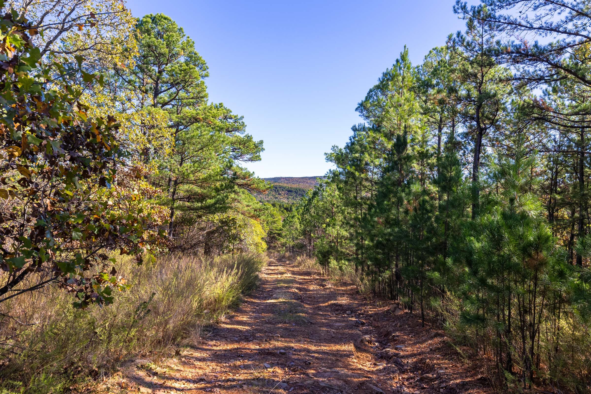 Stone Bridge Reserve photo 7