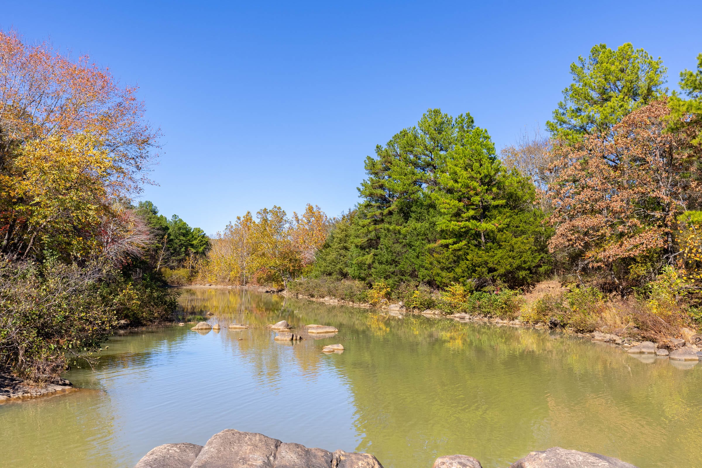 Stone Bridge Reserve photo 31