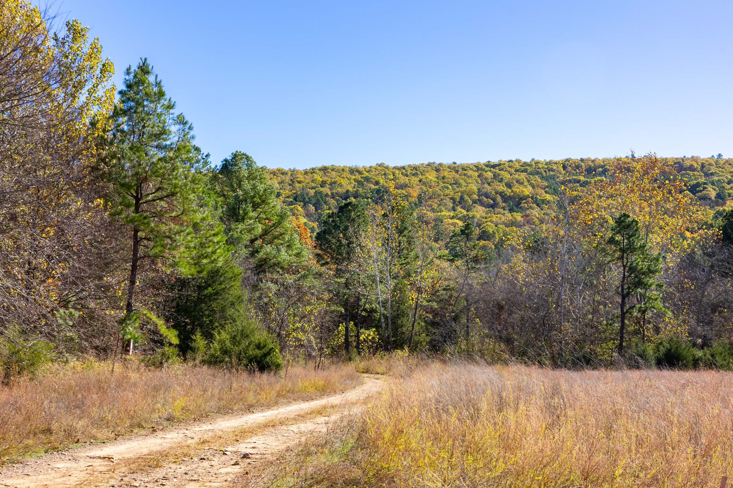 Stone Bridge Reserve photo 2