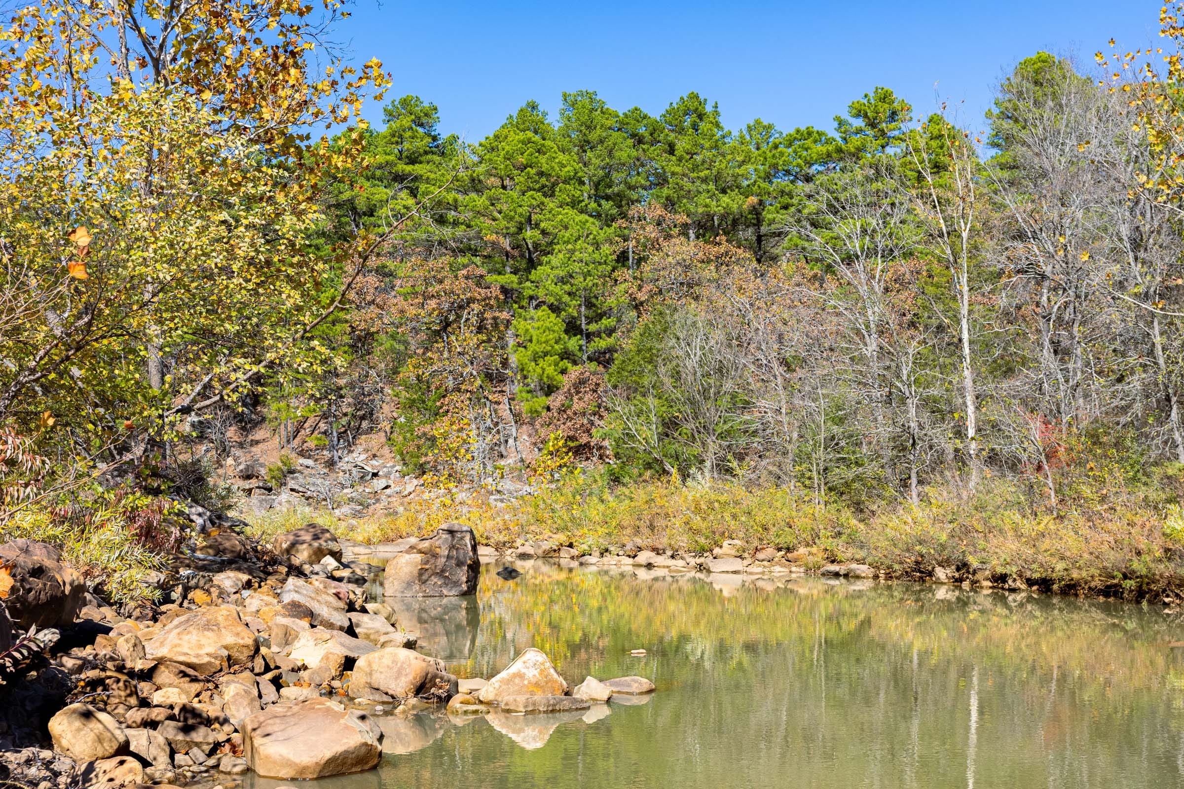 Stone Bridge Reserve photo 11