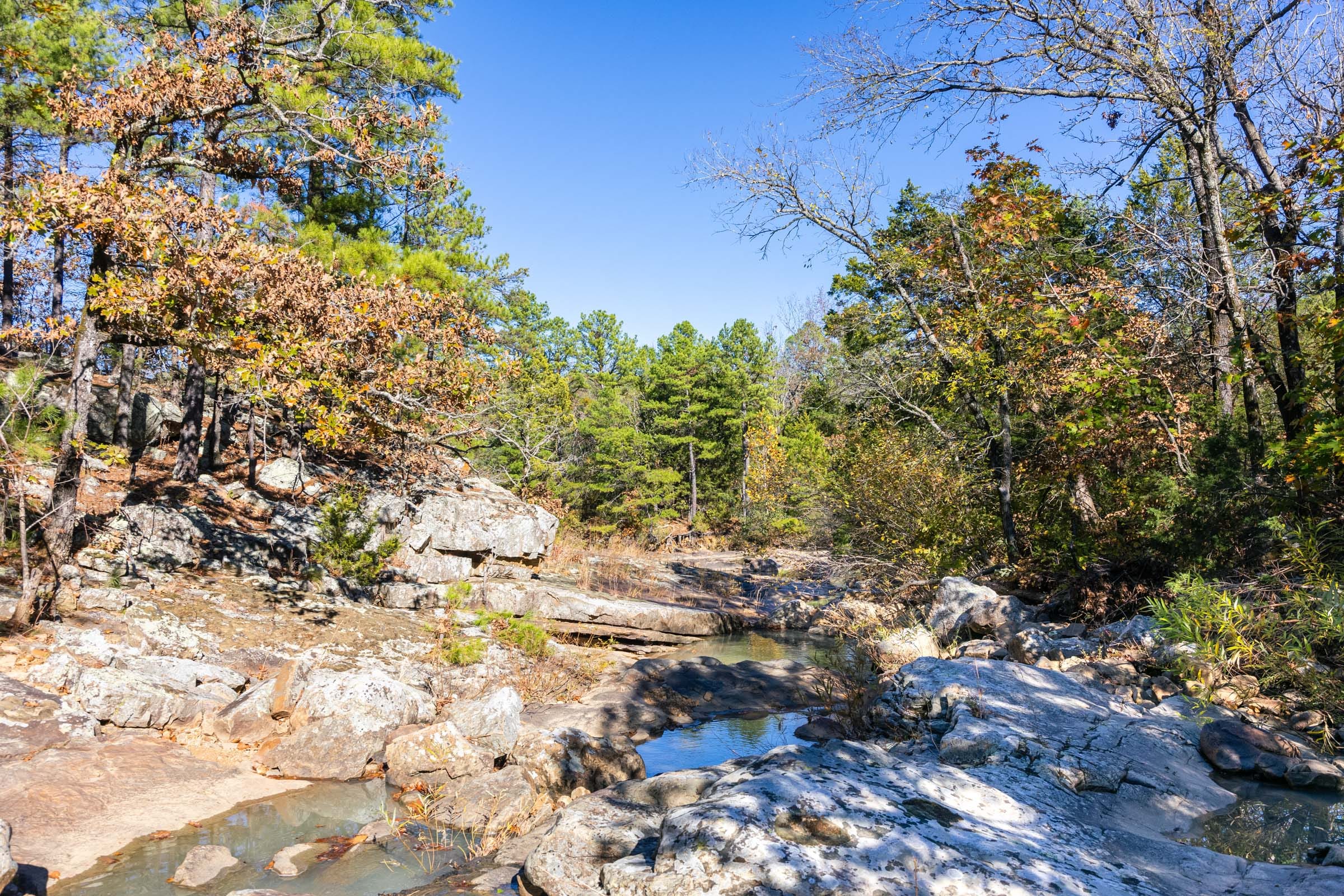 Stone Bridge Reserve photo 29