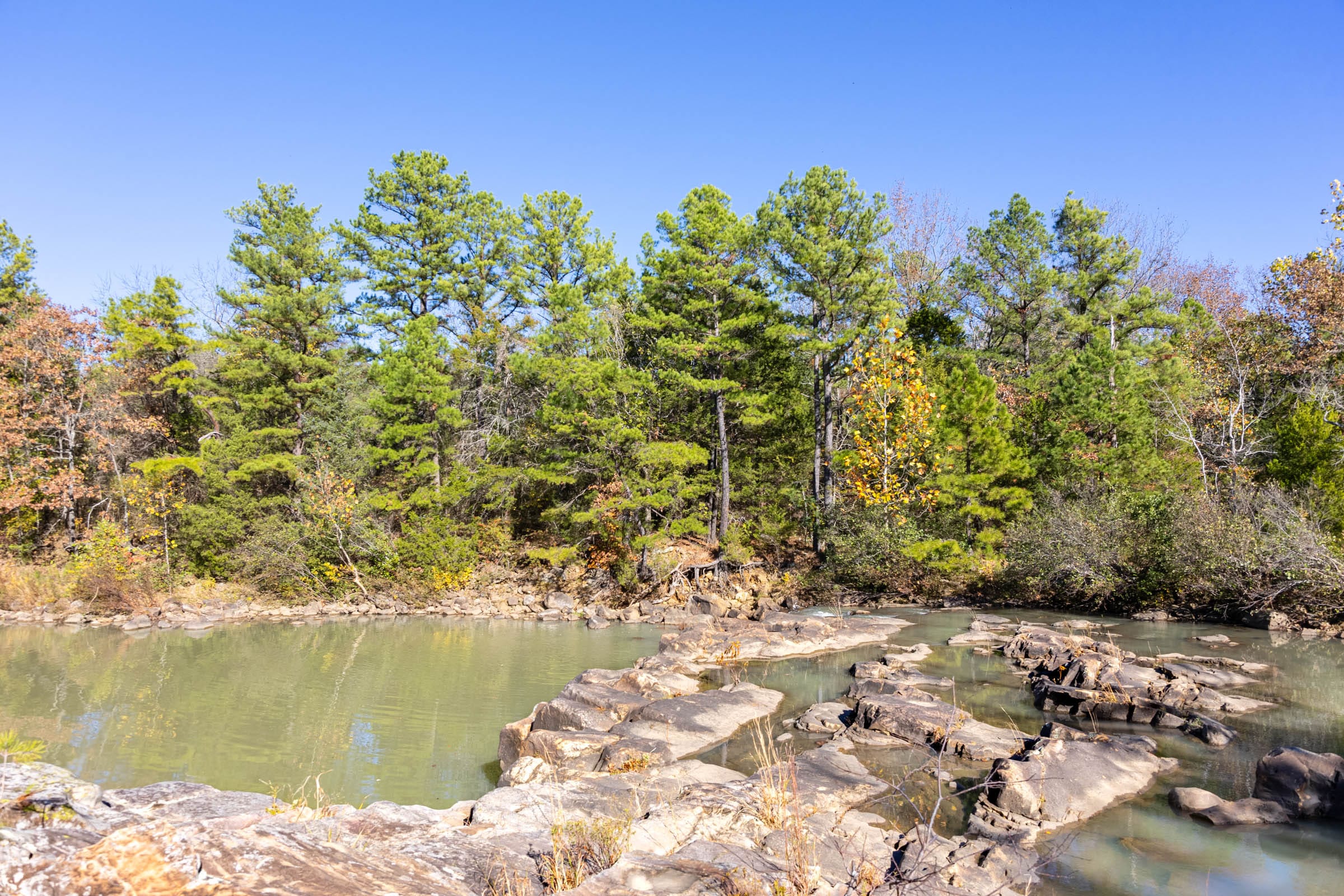 Stone Bridge Reserve photo 15