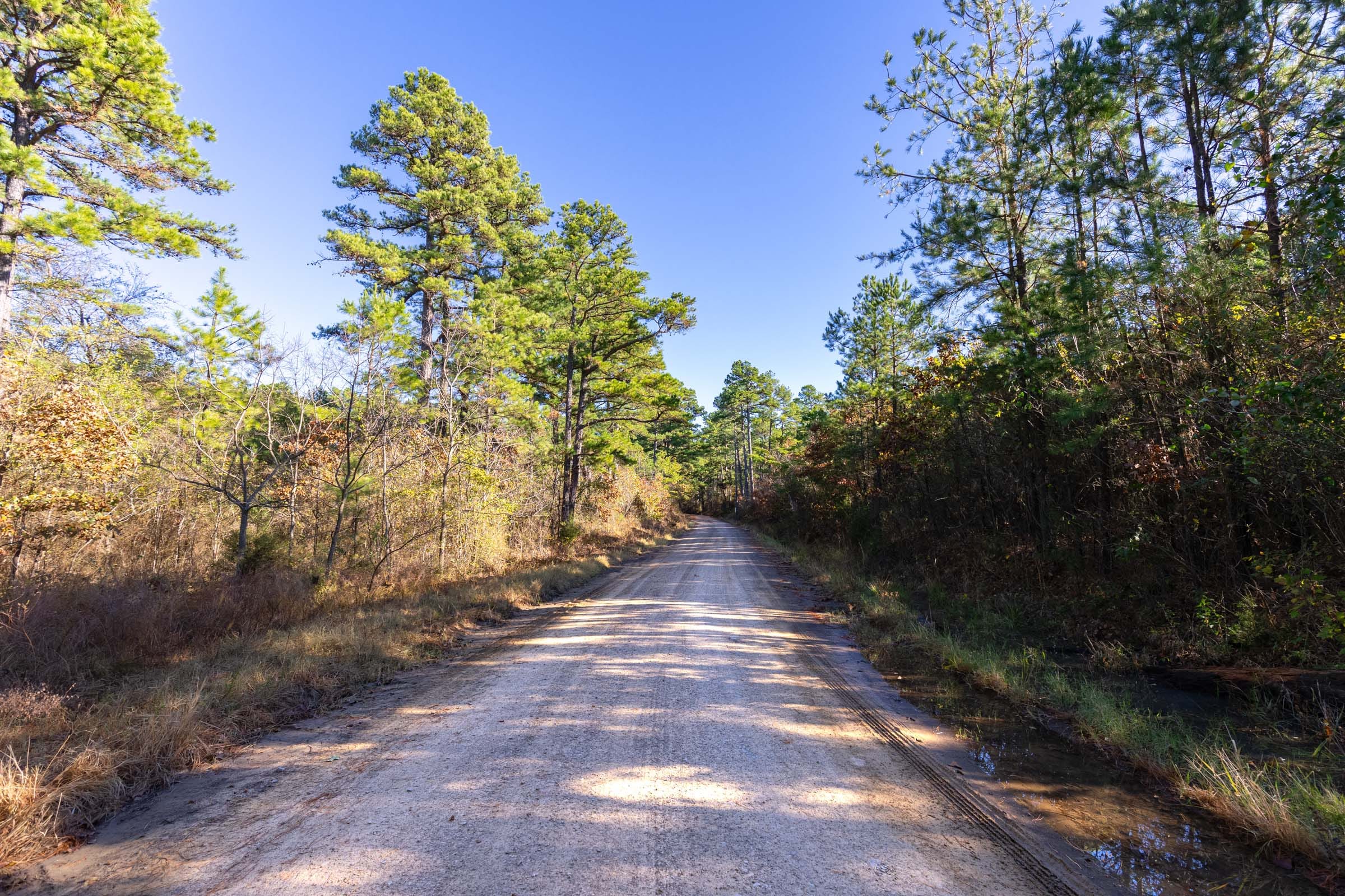 Stone Bridge Reserve photo 9