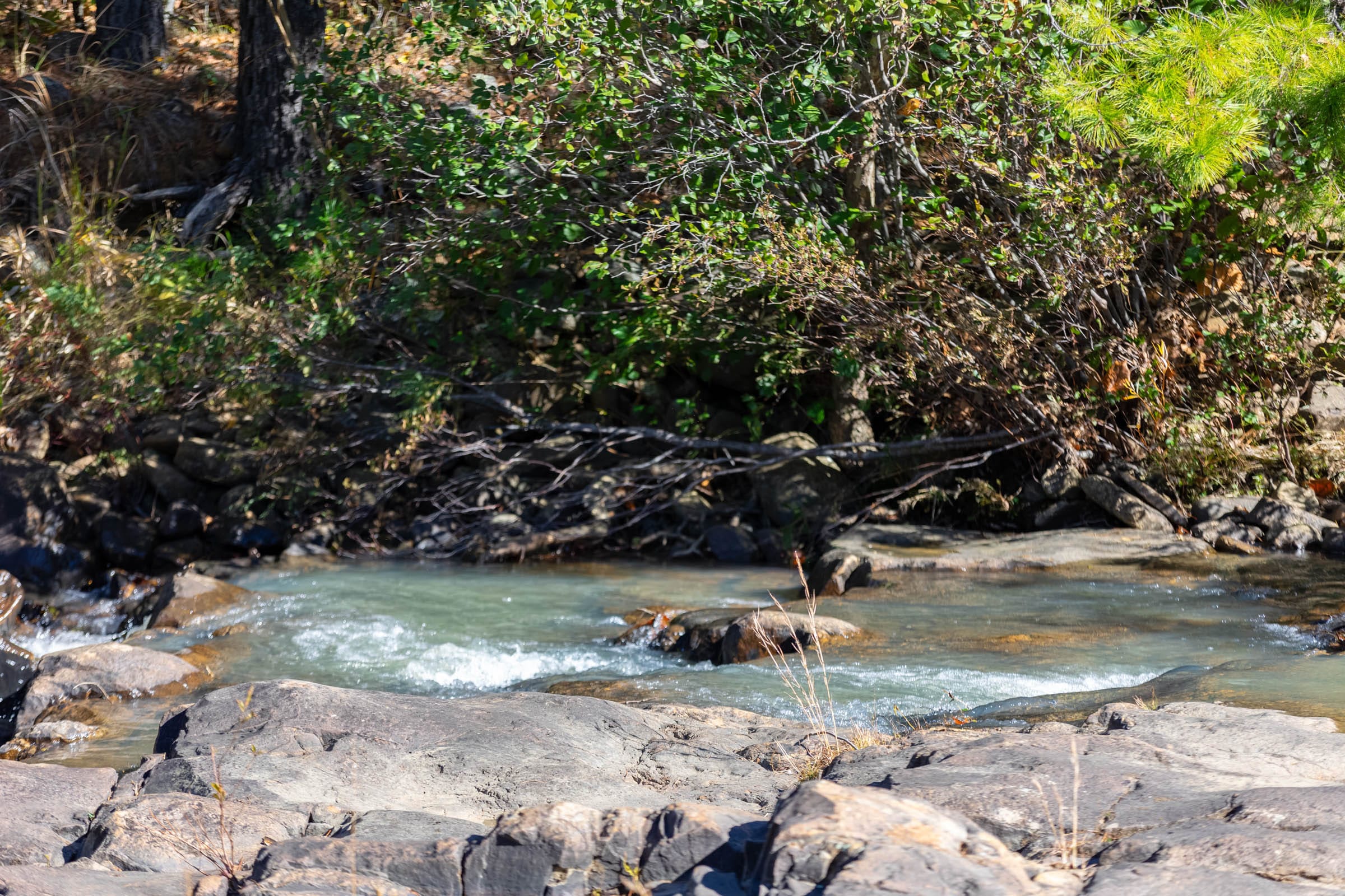 Stone Bridge Reserve photo 24
