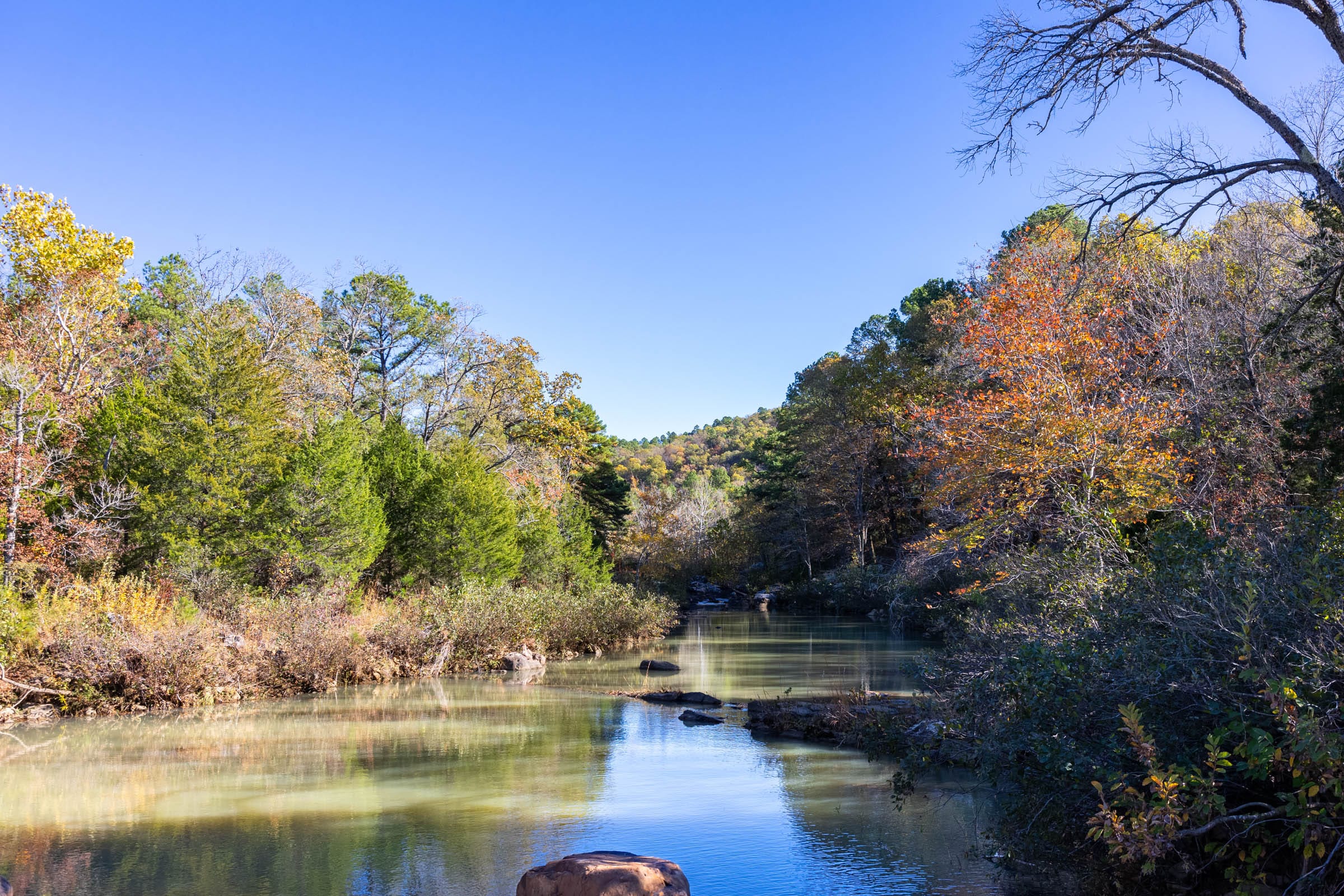 Stone Bridge Reserve photo 17