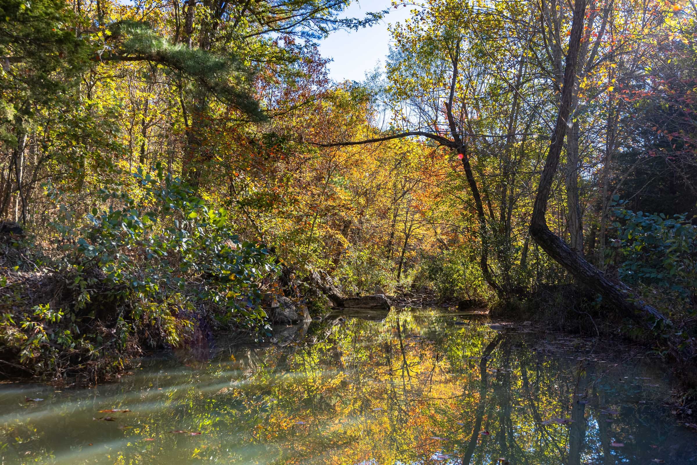 Stone Bridge Reserve photo 5