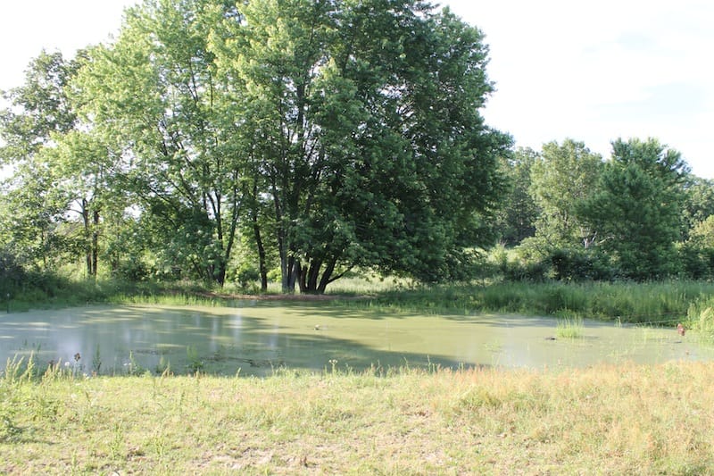 Valley View Ranch photo 10