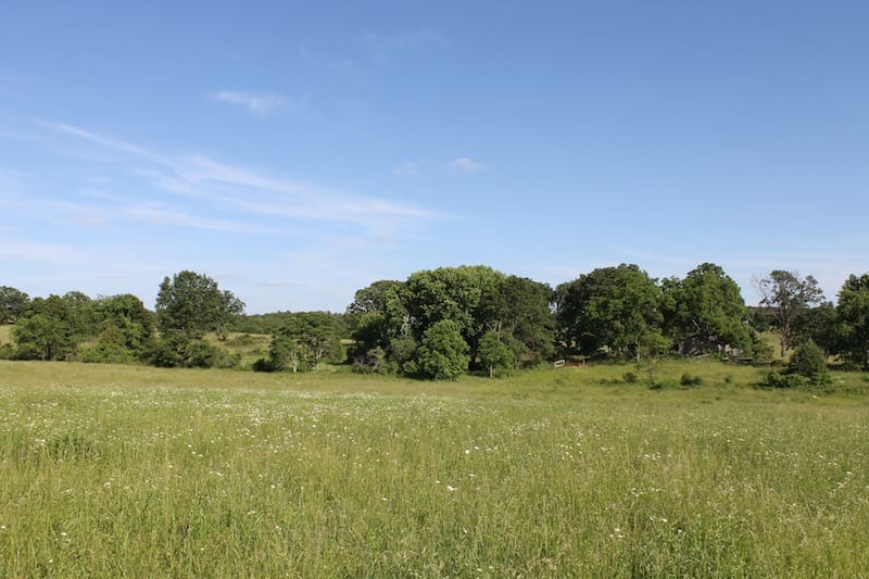 Valley View Ranch photo 4